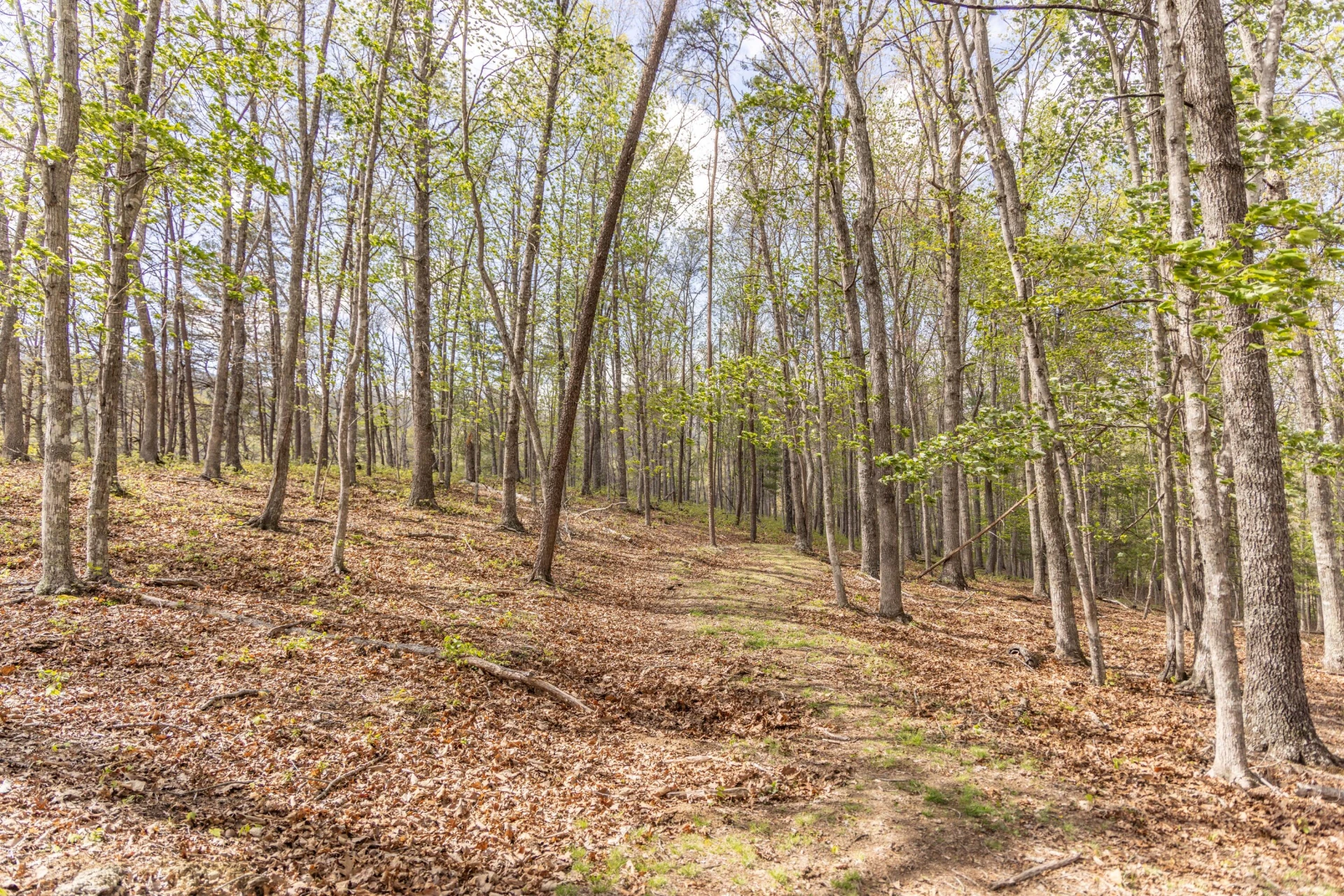 0 W Morris Hill Rd - Photo 43