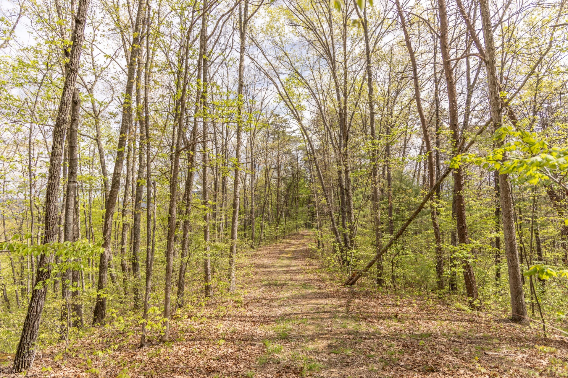 0 W Morris Hill Rd - Photo 44