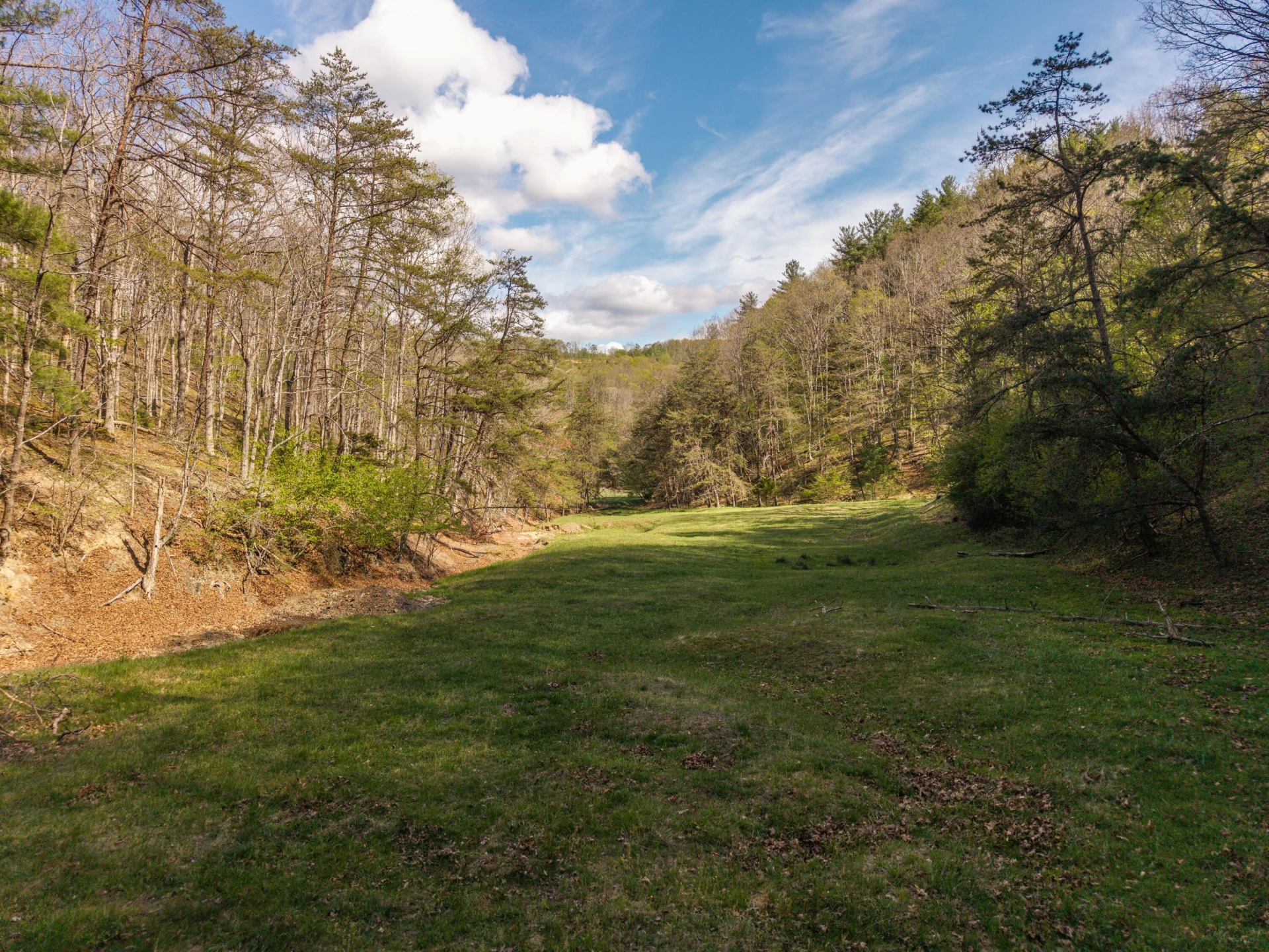 0 W Morris Hill Rd - Photo 46
