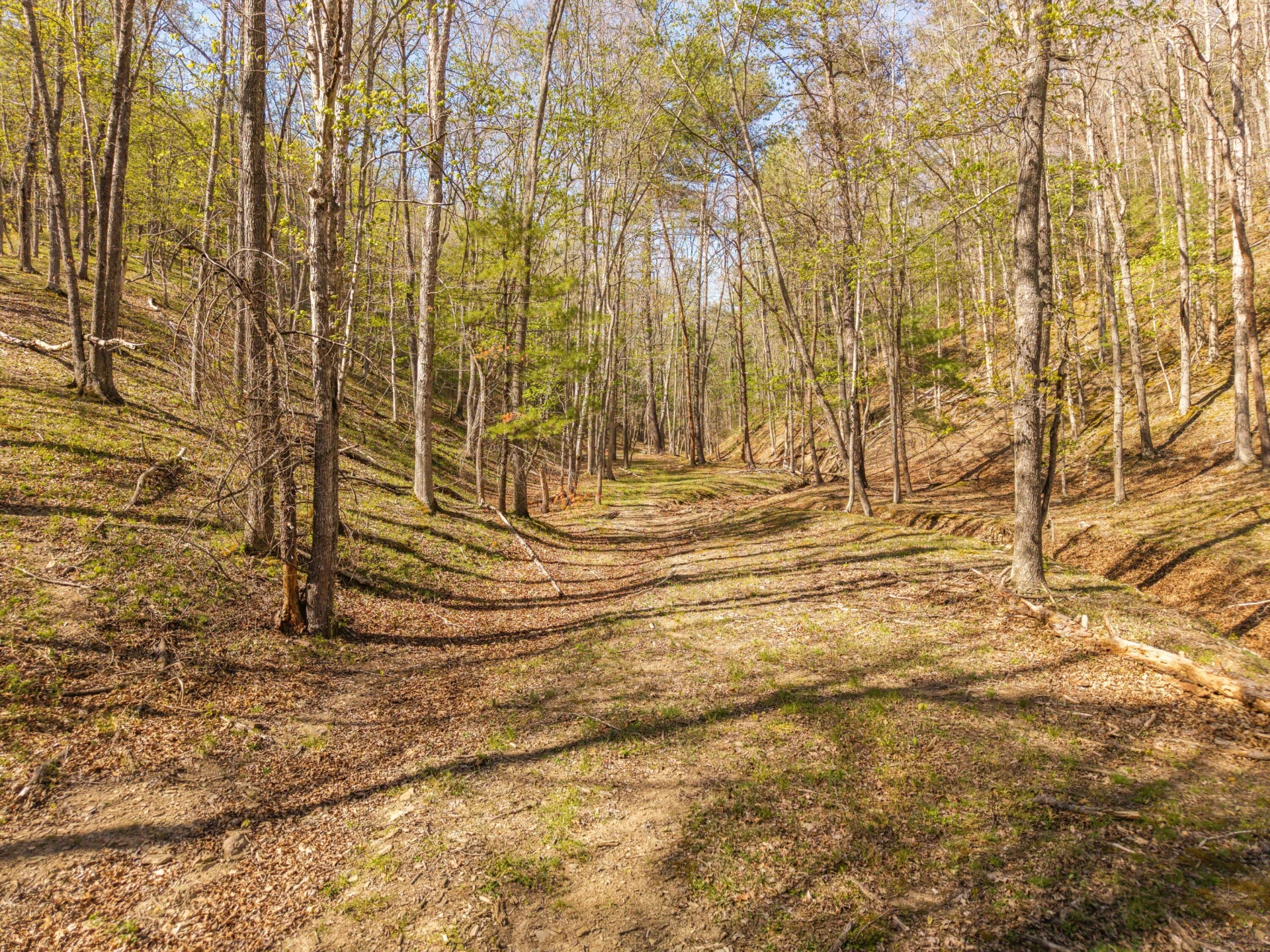 0 W Morris Hill Rd - Photo 49
