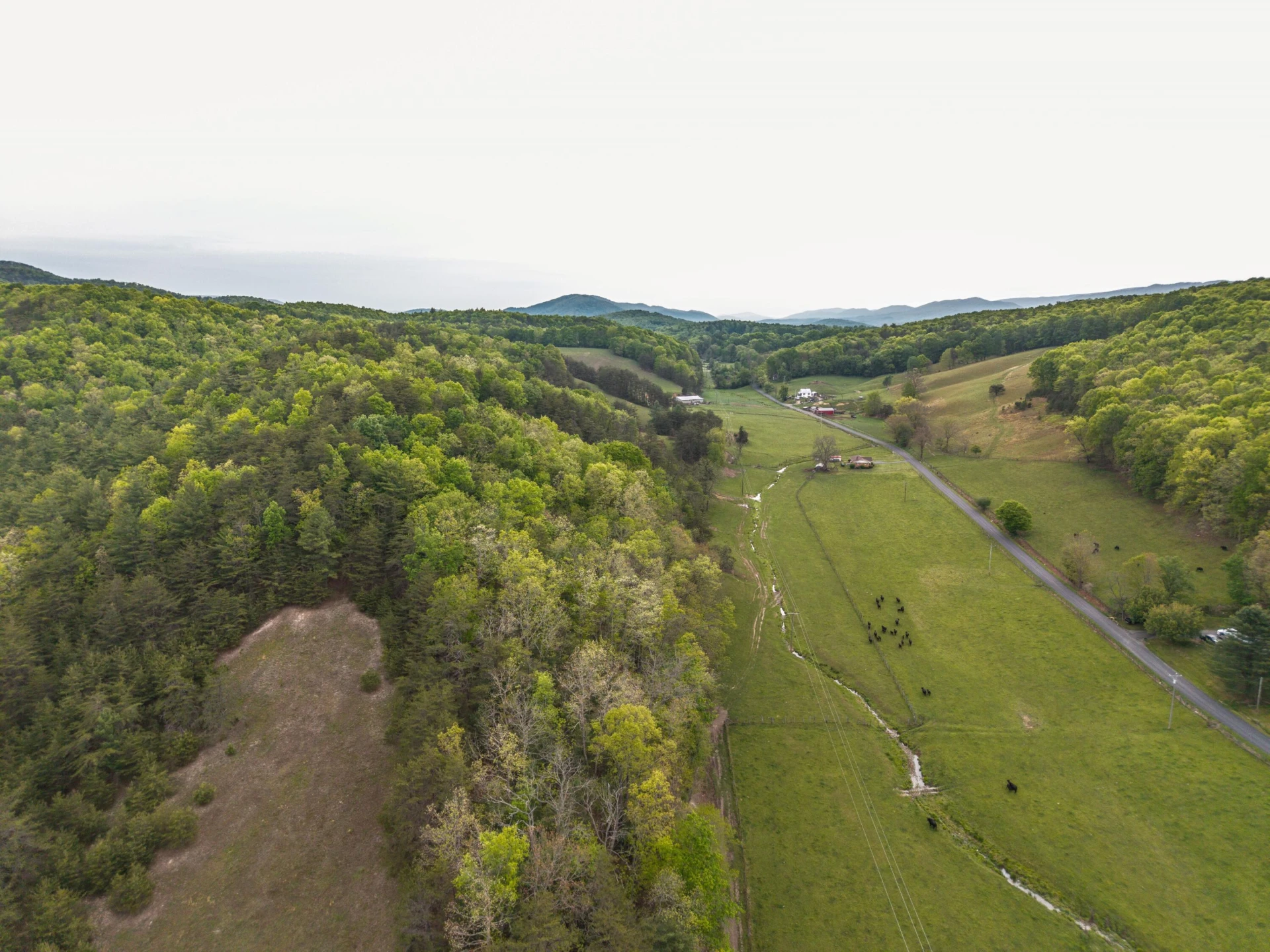 0 W Morris Hill Rd - Photo 9
