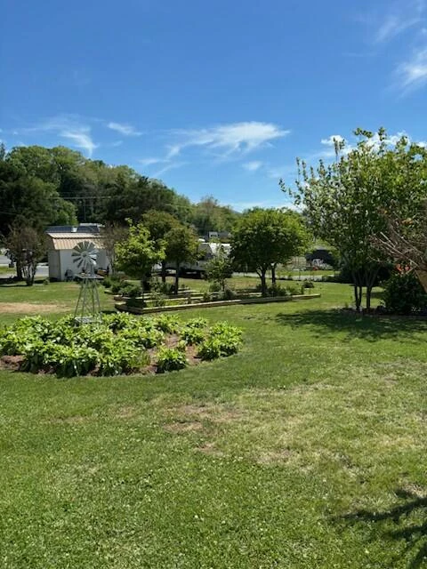 217 E Spruce St E - Photo 3