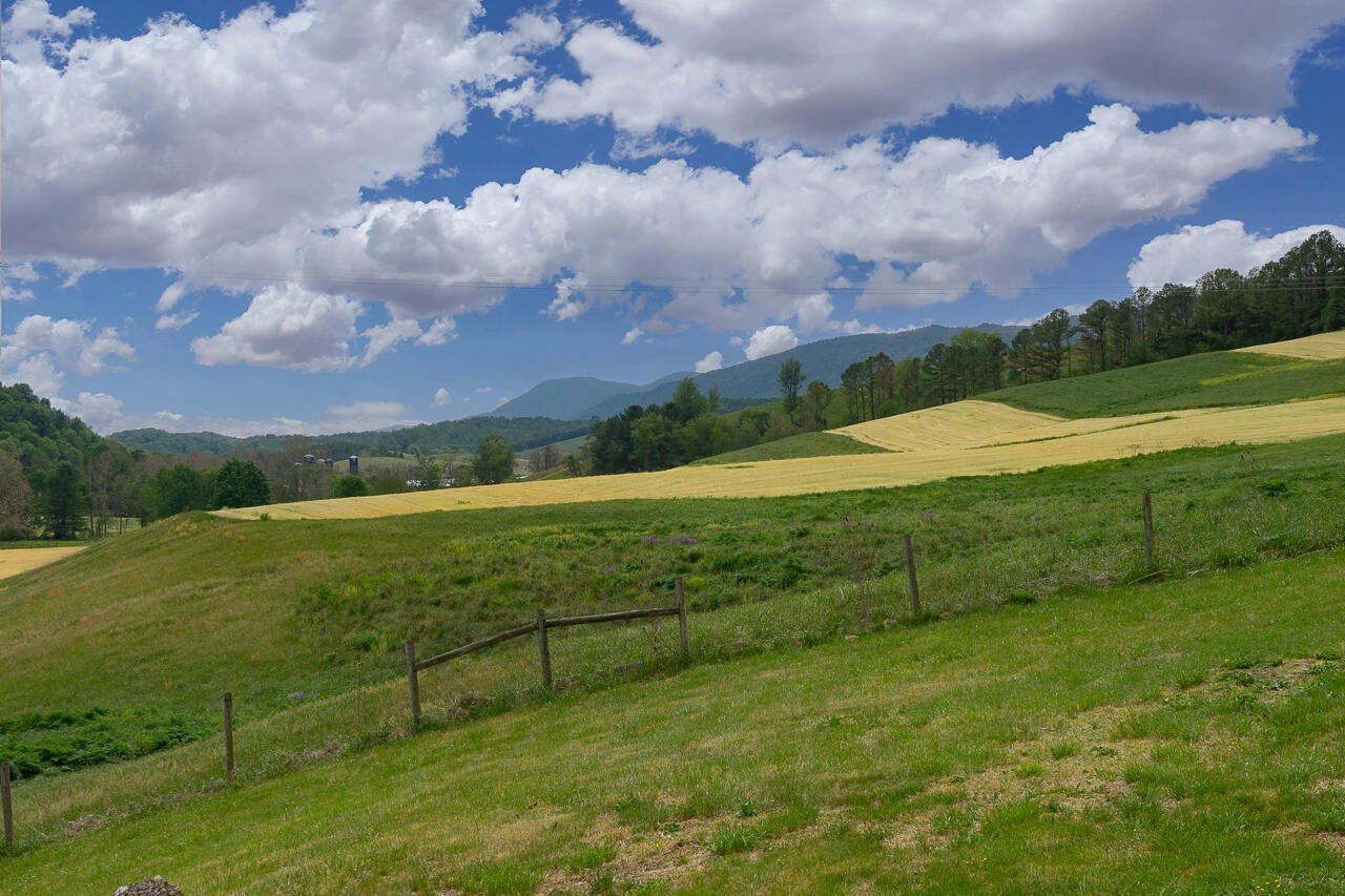 2104 Blue Grass Trl - Photo 32
