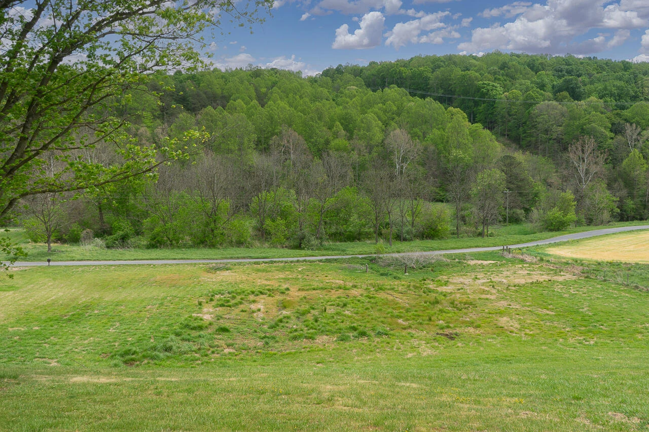2104 Blue Grass Trl - Photo 37