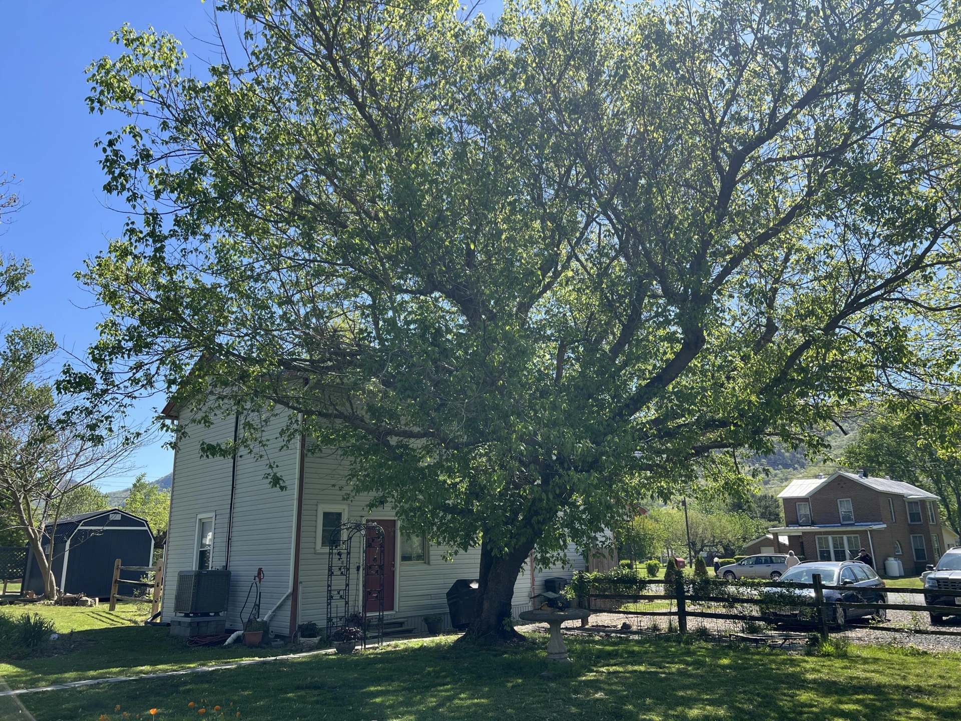 702 Anderson St - Photo 25