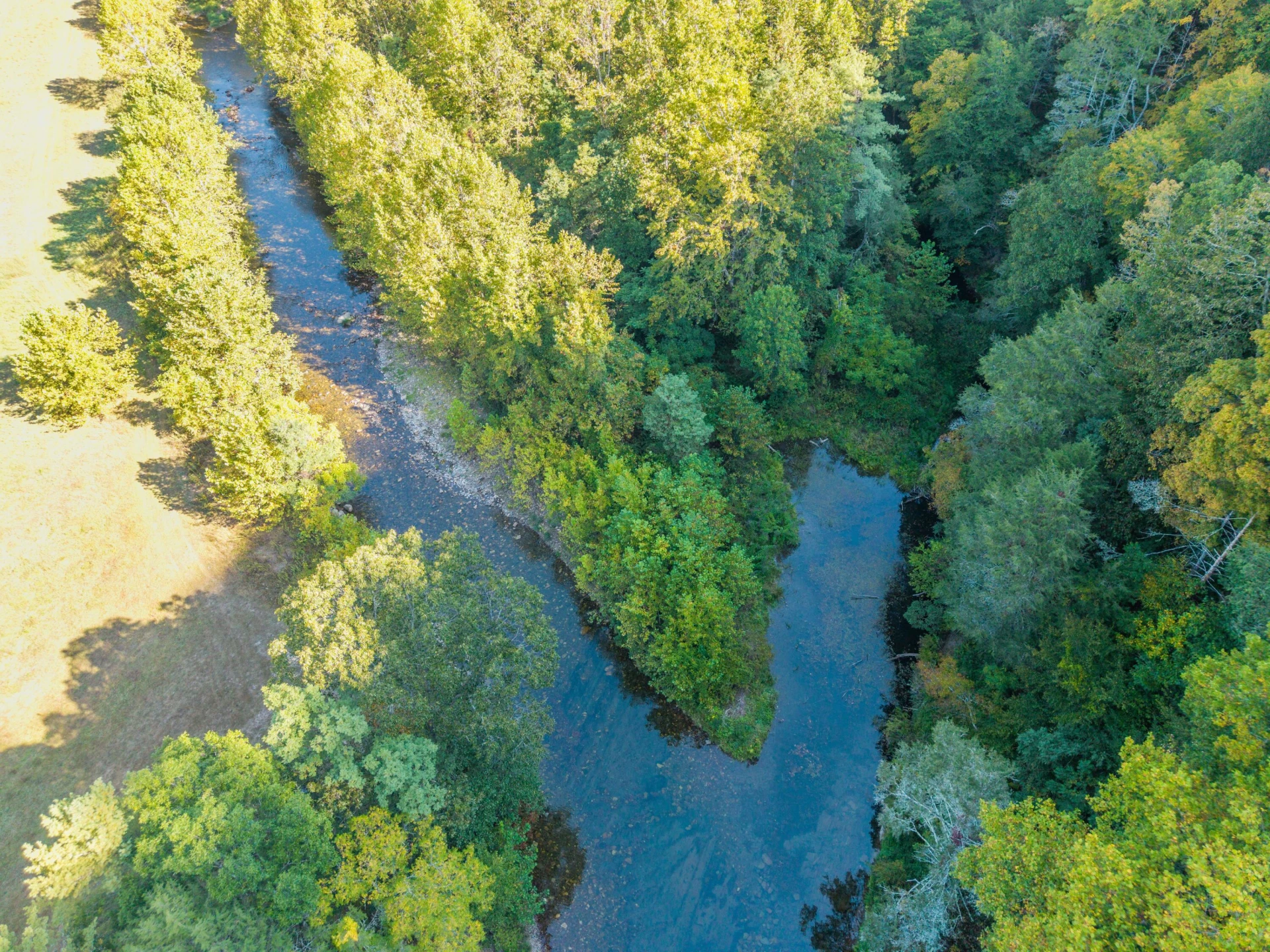 2430 Big Back Creek Rd - Photo 10