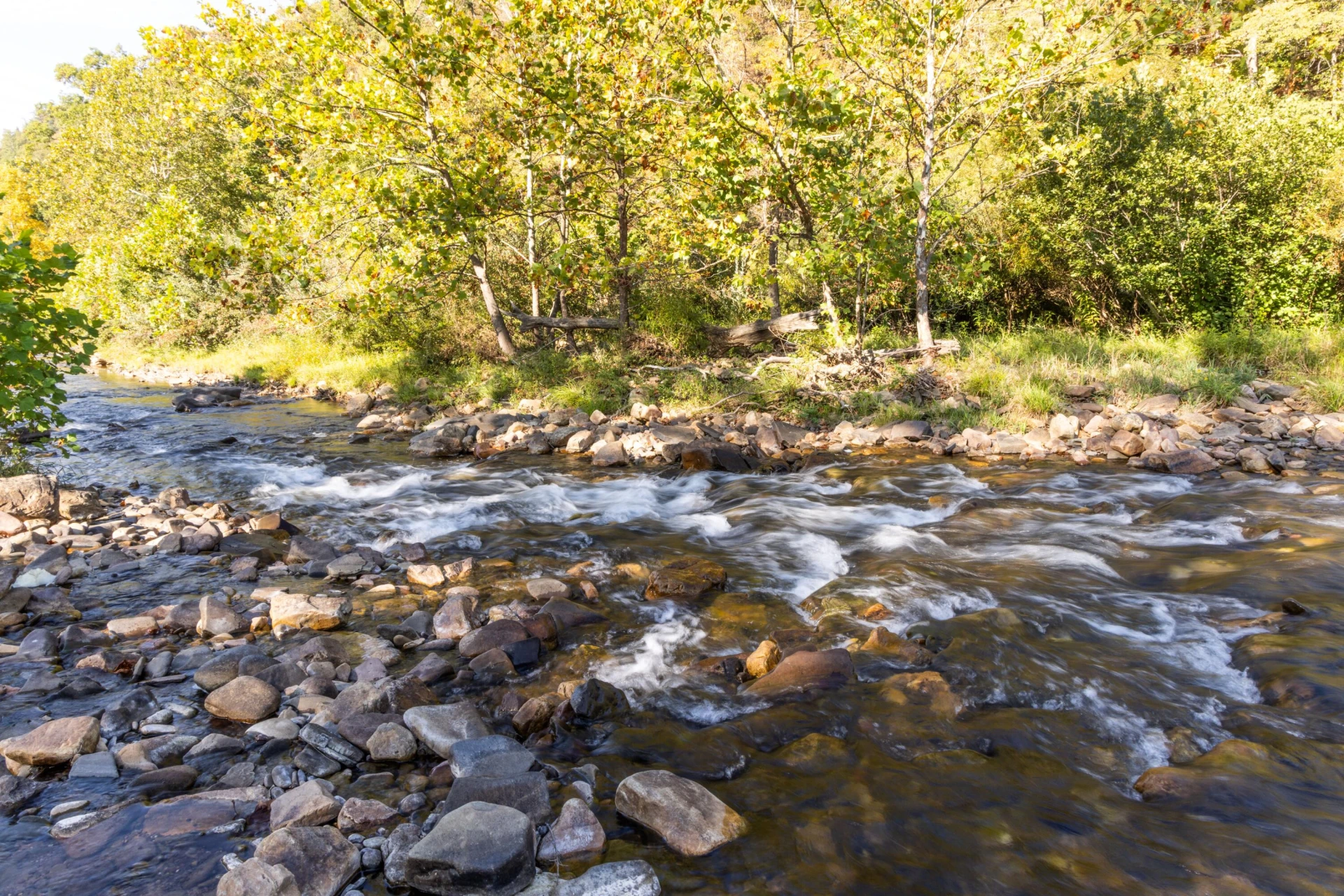 2430 Big Back Creek Rd - Photo 101