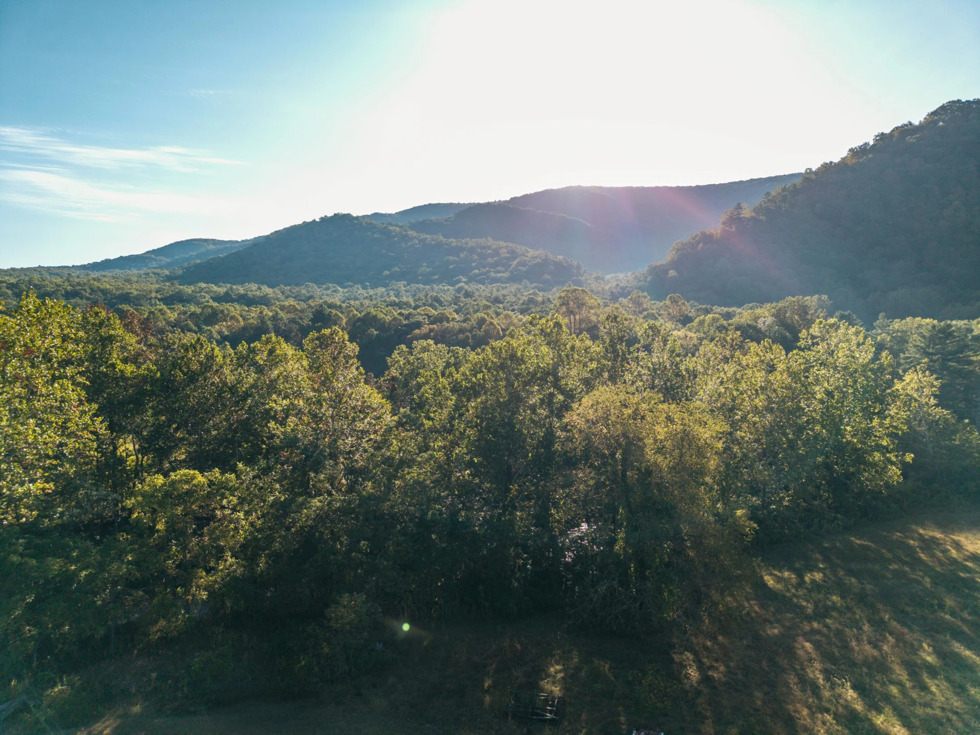 2430 Big Back Creek Rd - Photo 105