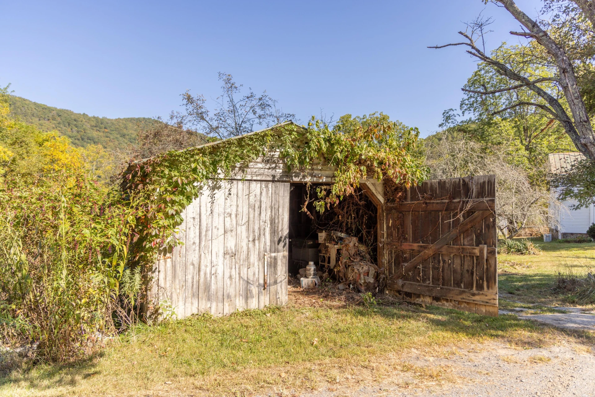 2430 Big Back Creek Rd - Photo 106