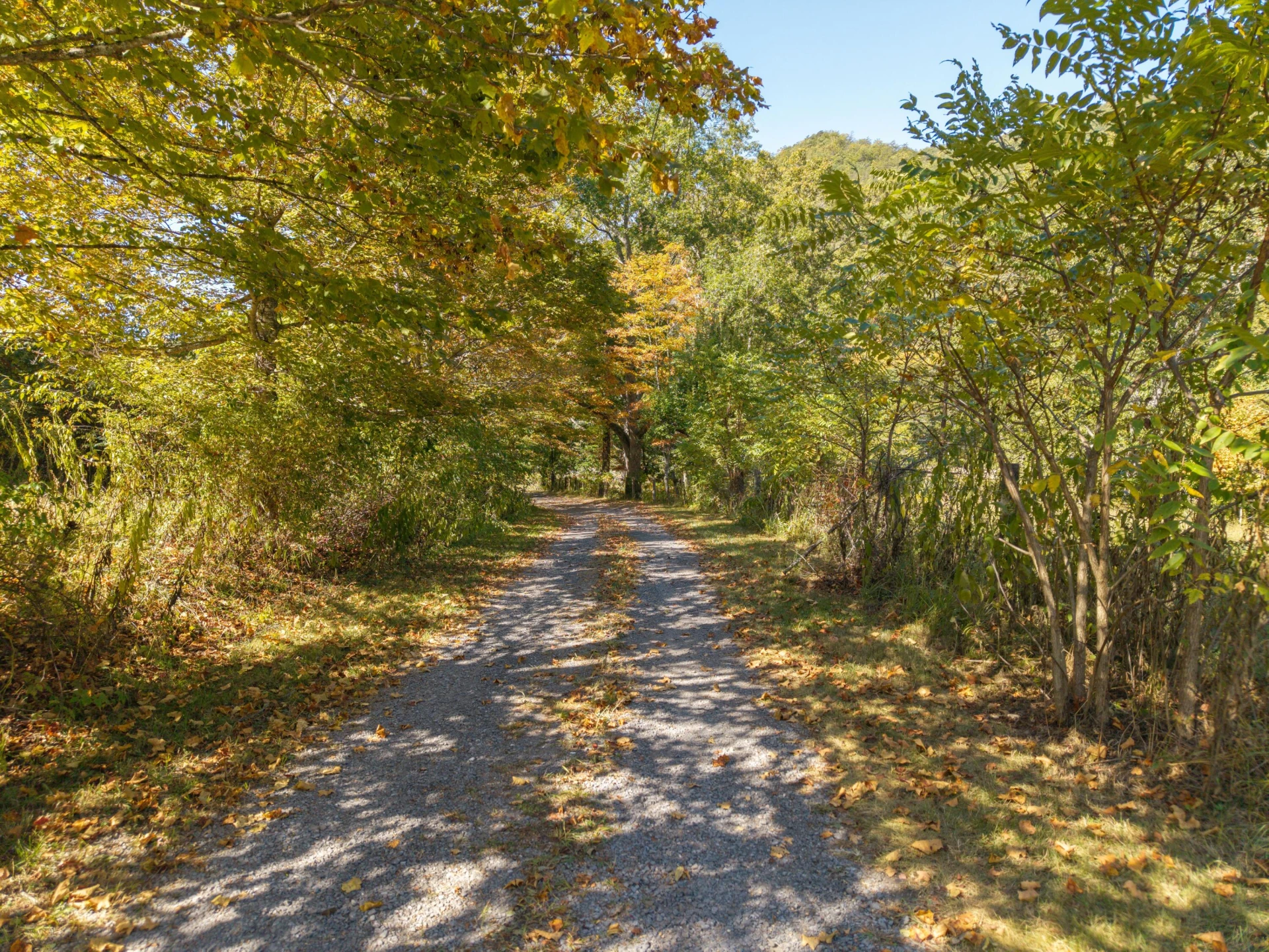 2430 Big Back Creek Rd - Photo 107