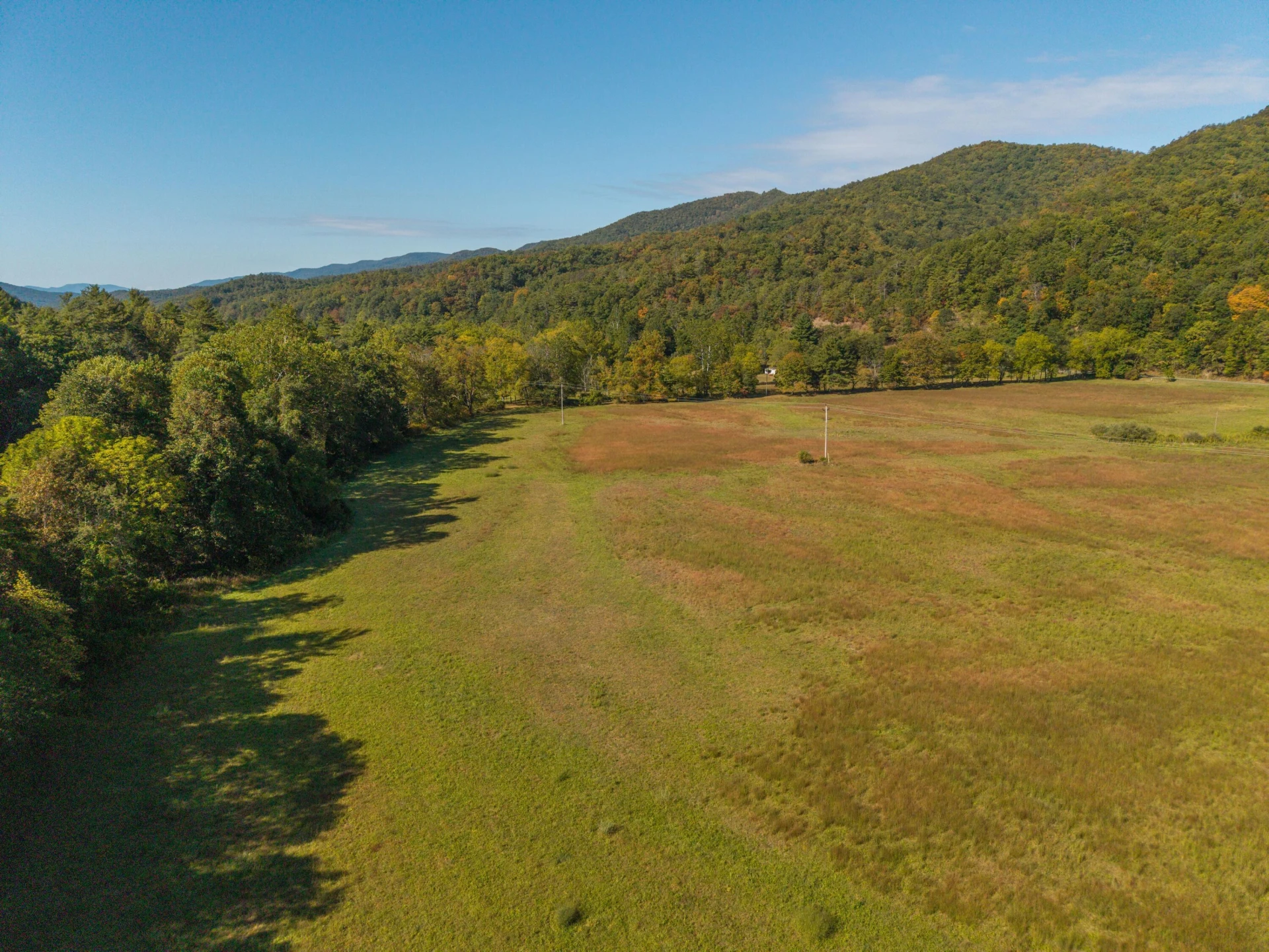 2430 Big Back Creek Rd - Photo 110