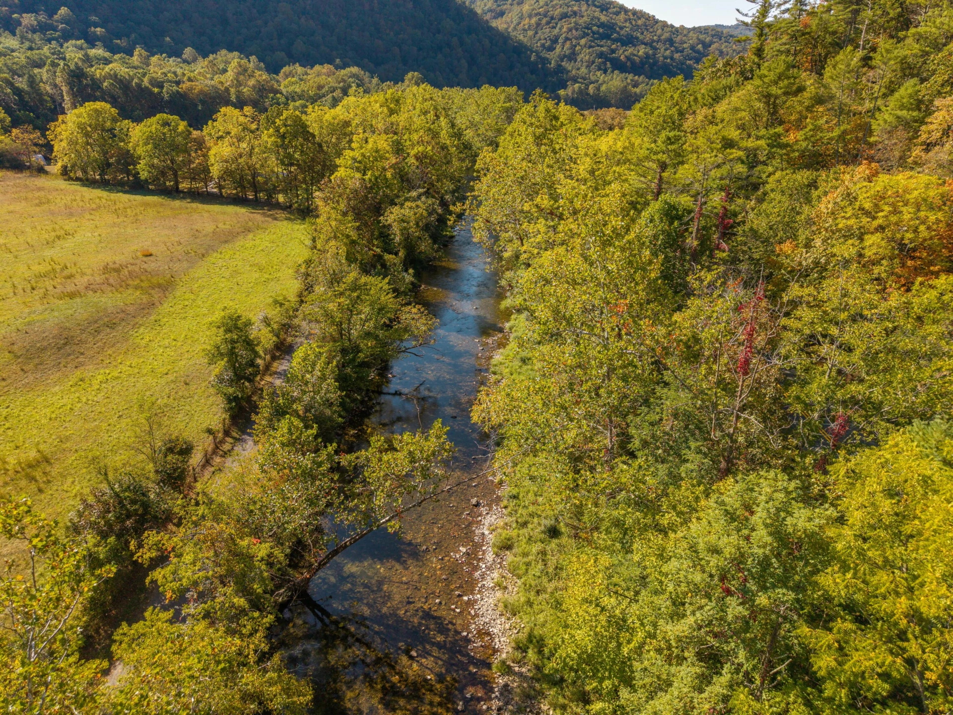 2430 Big Back Creek Rd - Photo 111