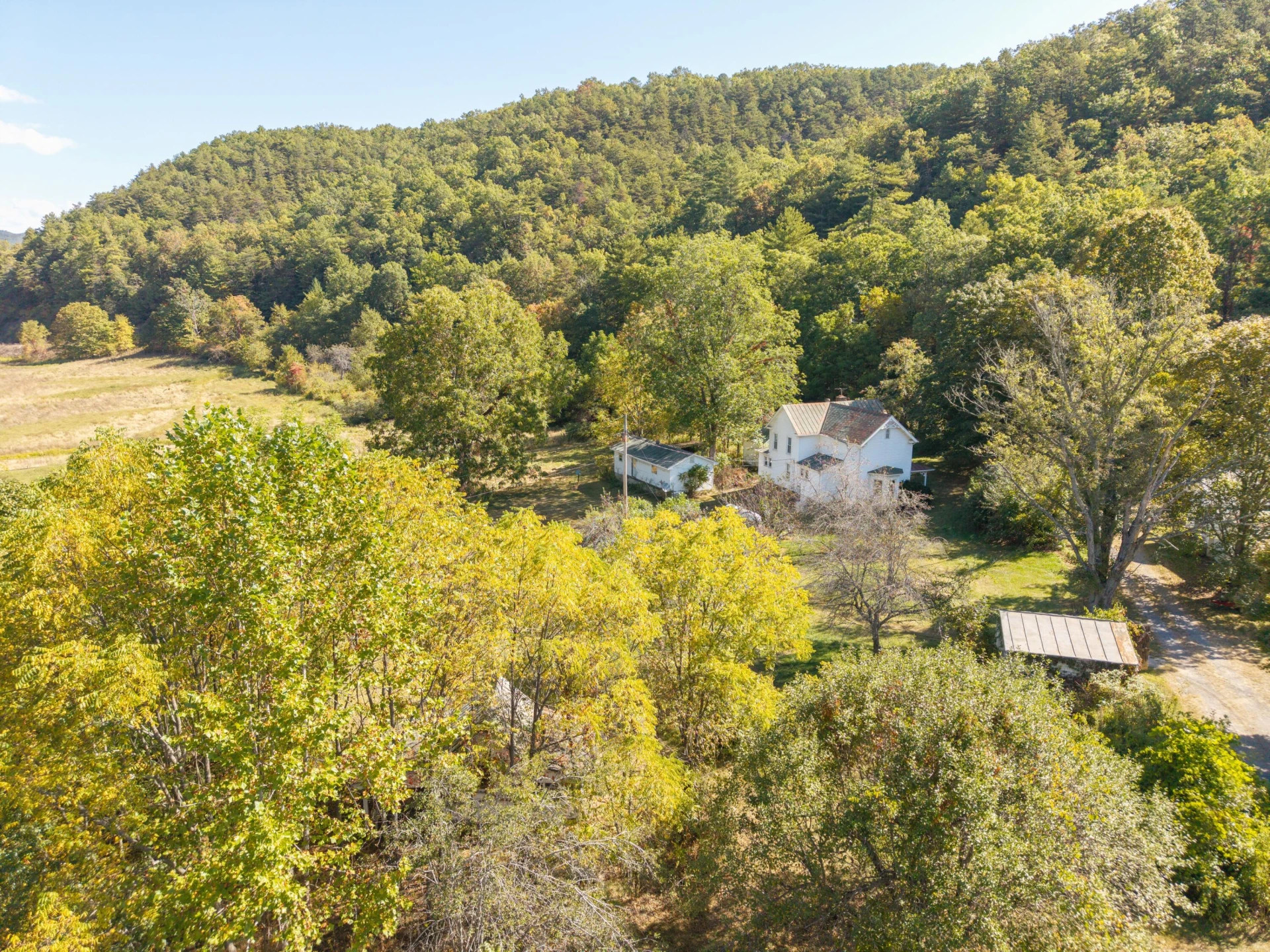 2430 Big Back Creek Rd - Photo 115