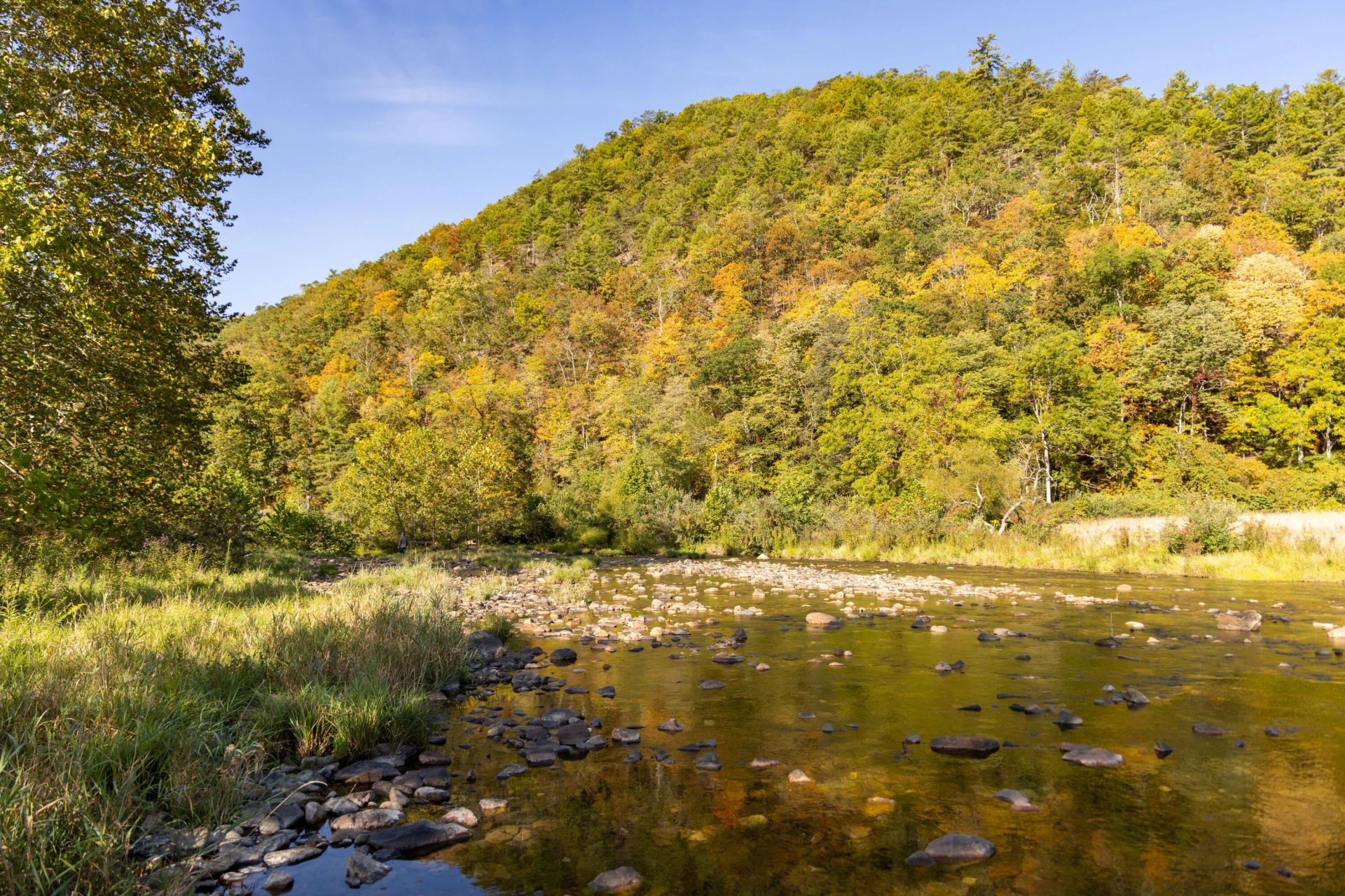 2430 Big Back Creek Rd - Photo 117