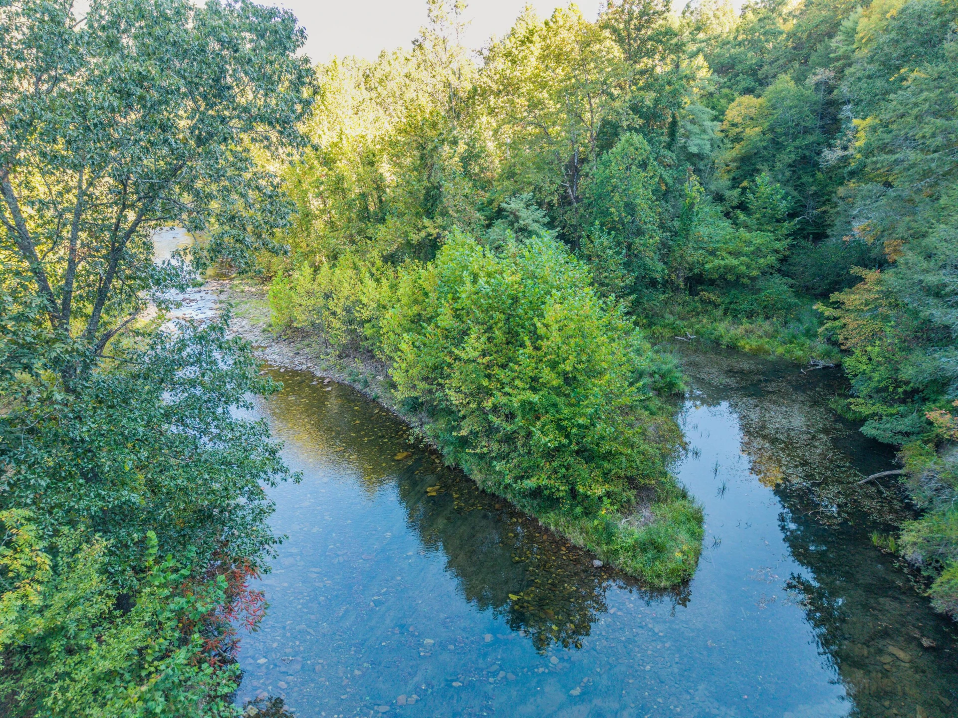 2430 Big Back Creek Rd - Photo 13