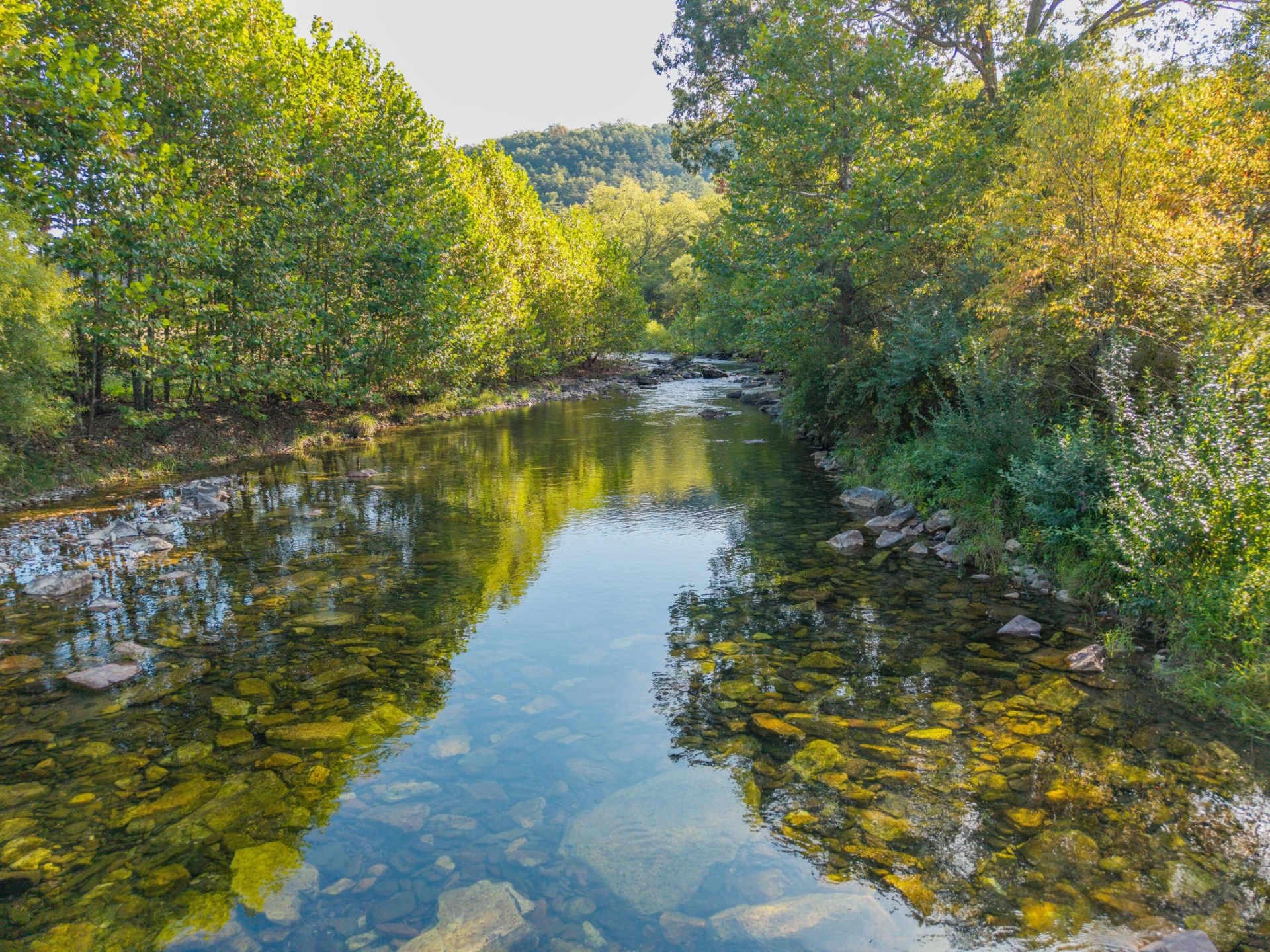 2430 Big Back Creek Rd - Photo 14