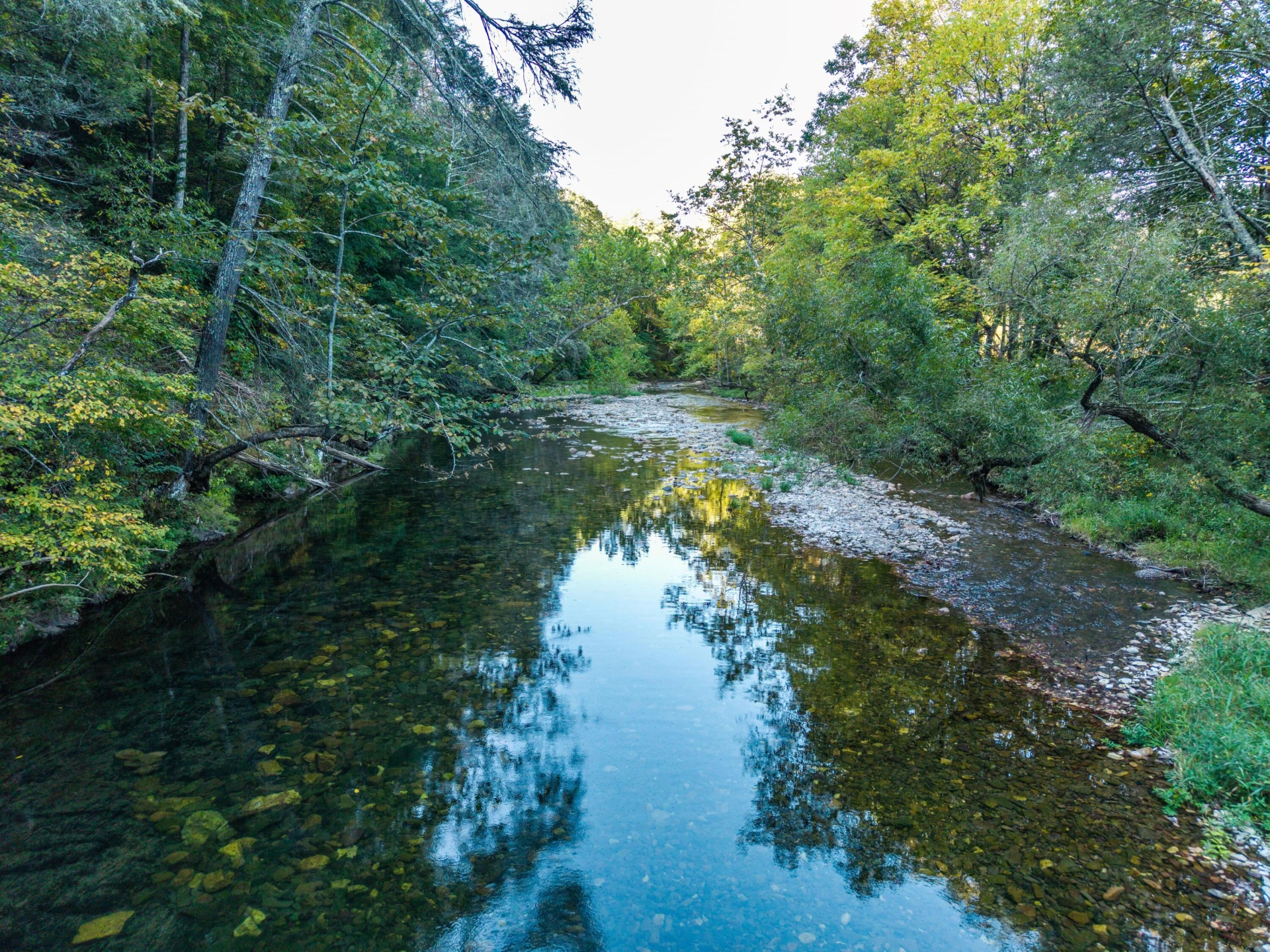2430 Big Back Creek Rd - Photo 15