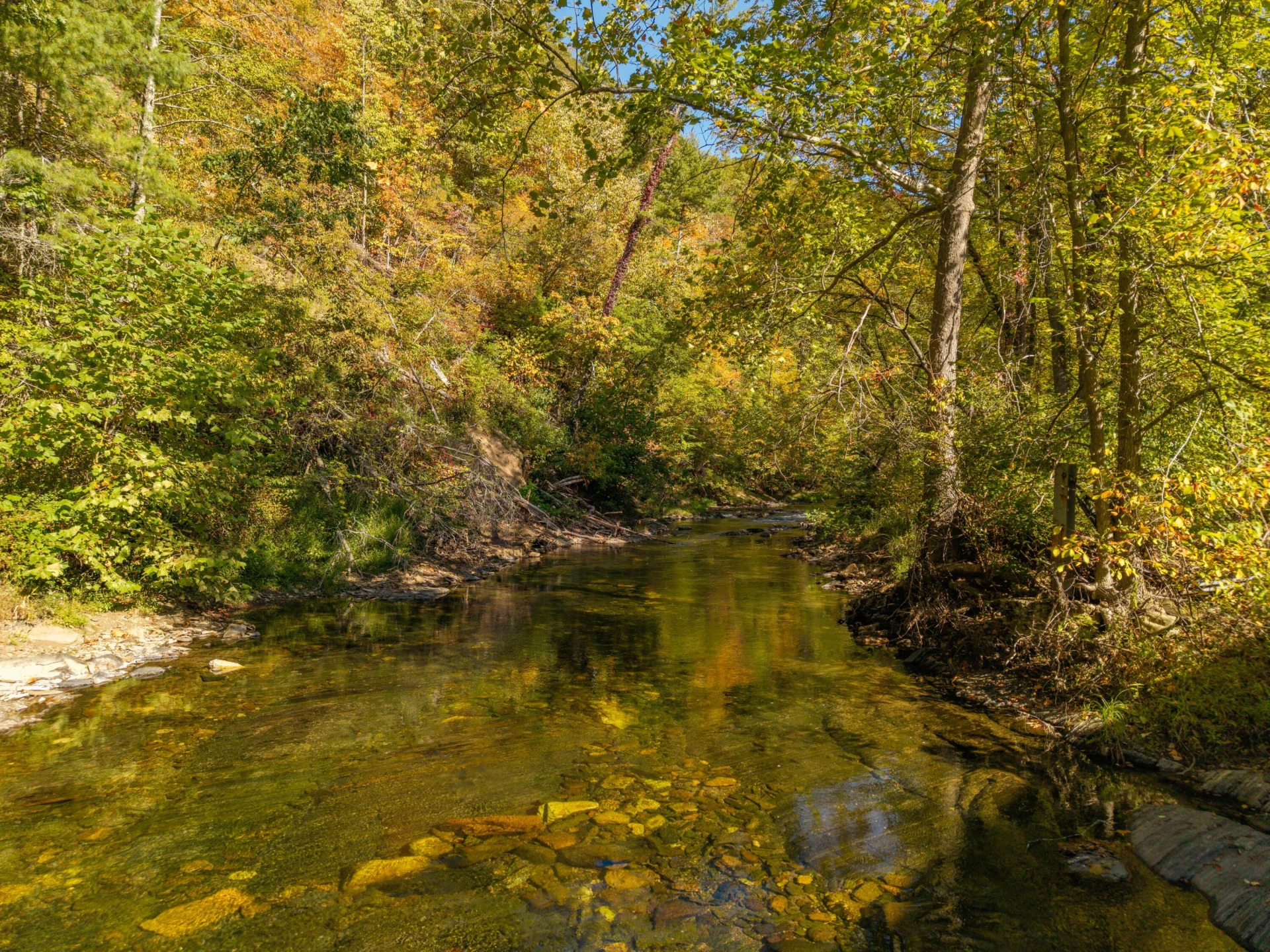 2430 Big Back Creek Rd - Photo 16