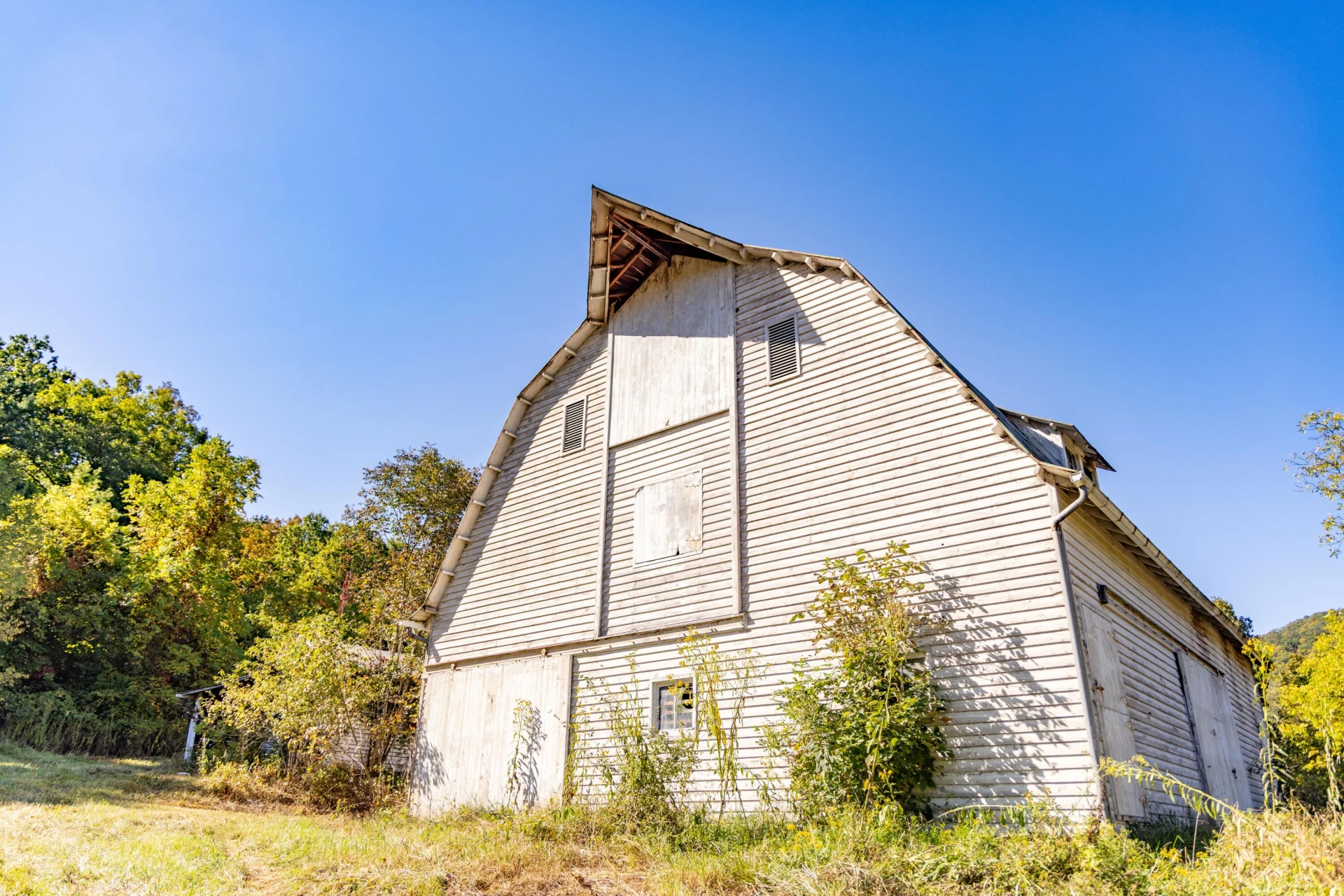 2430 Big Back Creek Rd - Photo 19