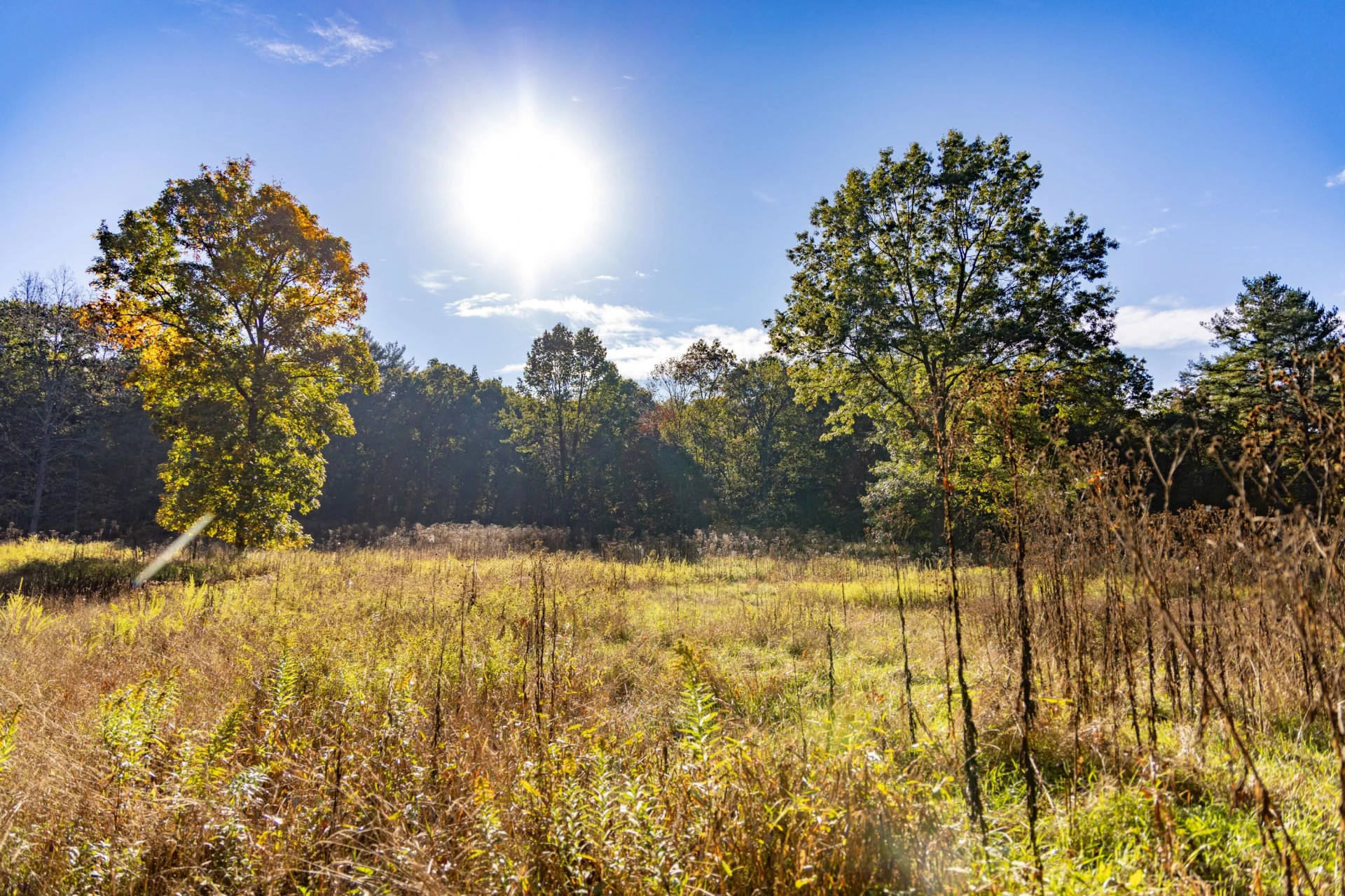 2430 Big Back Creek Rd - Photo 40