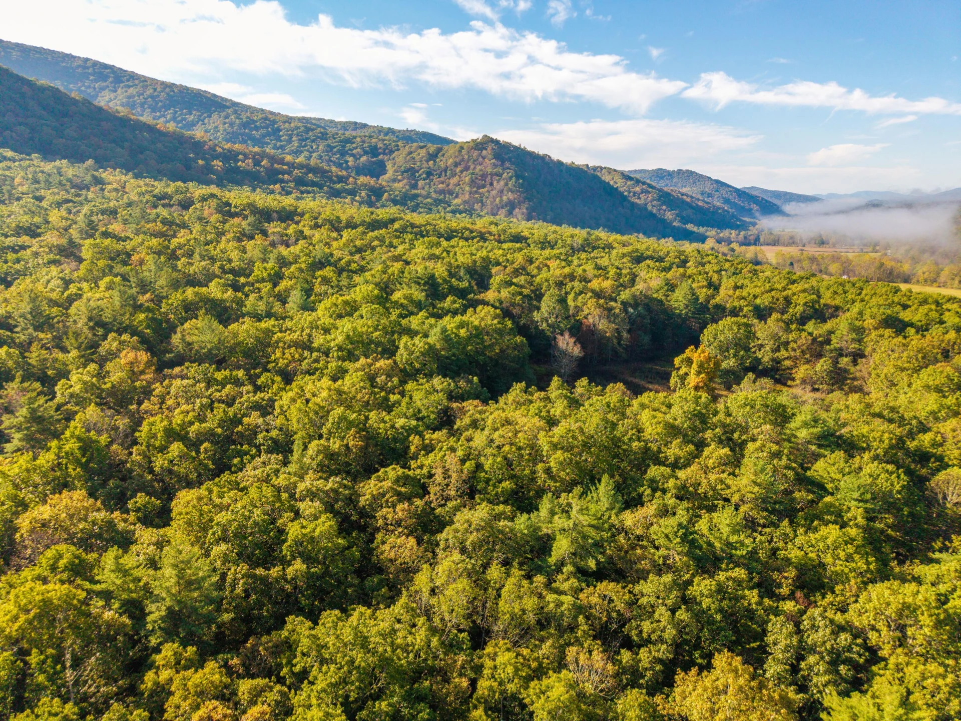 2430 Big Back Creek Rd - Photo 42