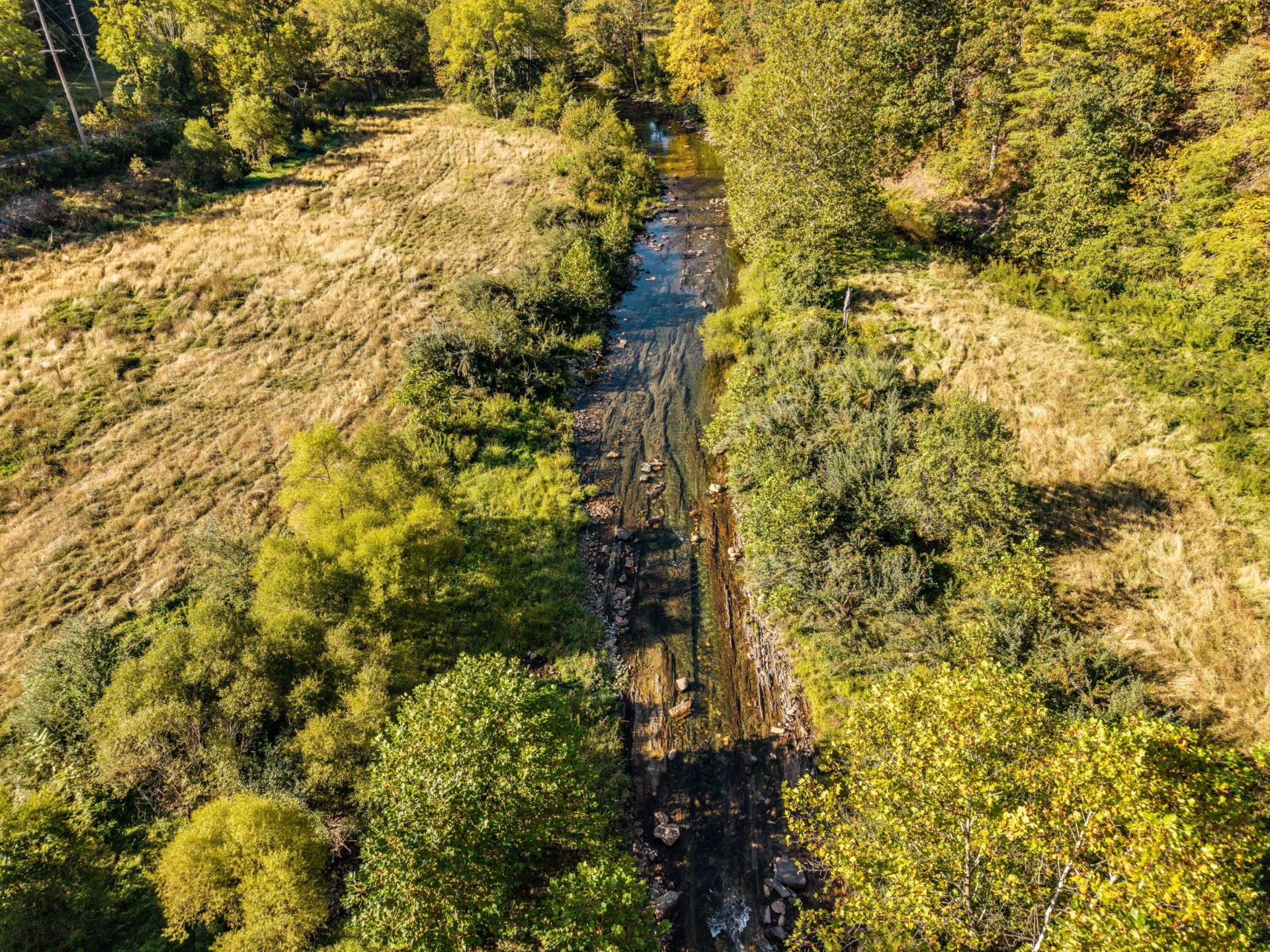 2430 Big Back Creek Rd - Photo 58