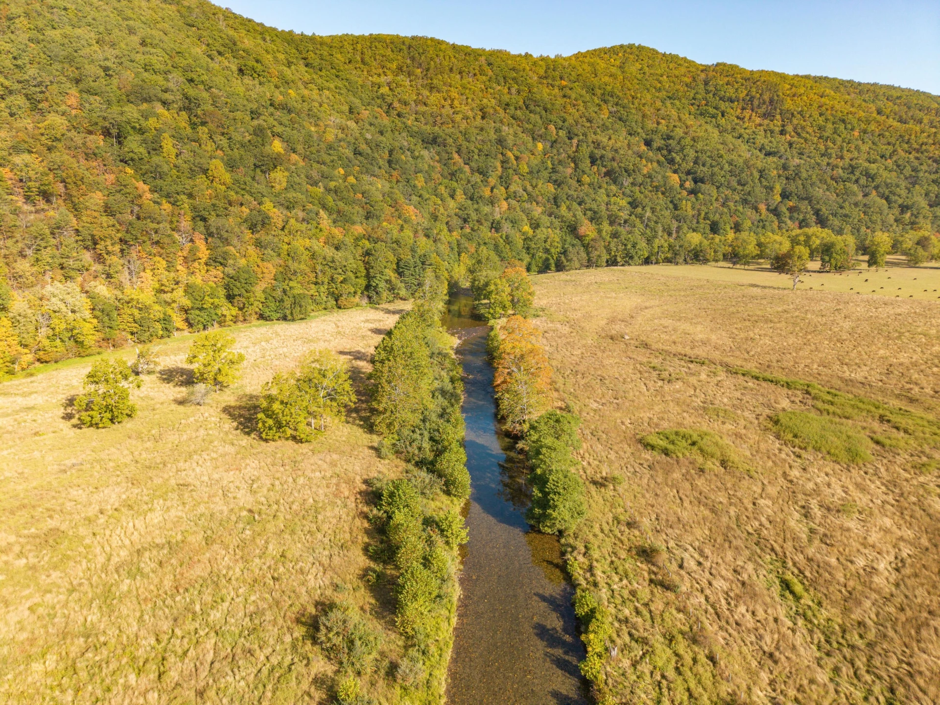 2430 Big Back Creek Rd - Photo 60