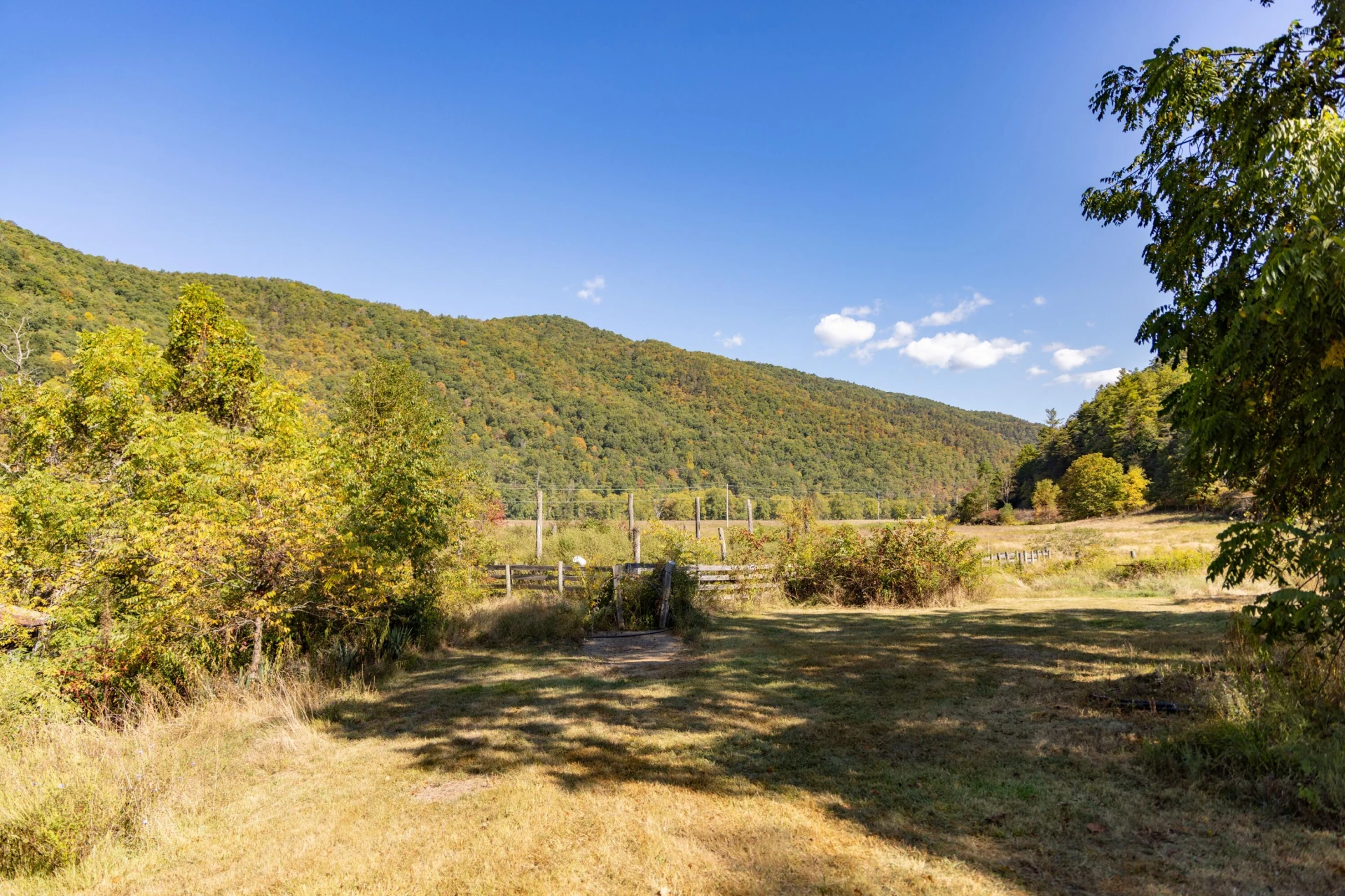 2430 Big Back Creek Rd - Photo 68