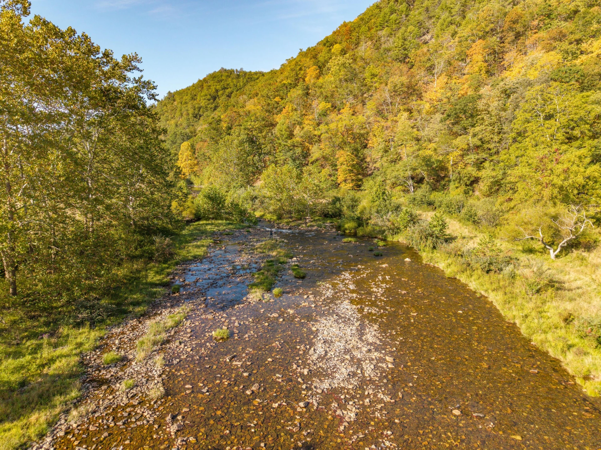 2430 Big Back Creek Rd - Photo 71
