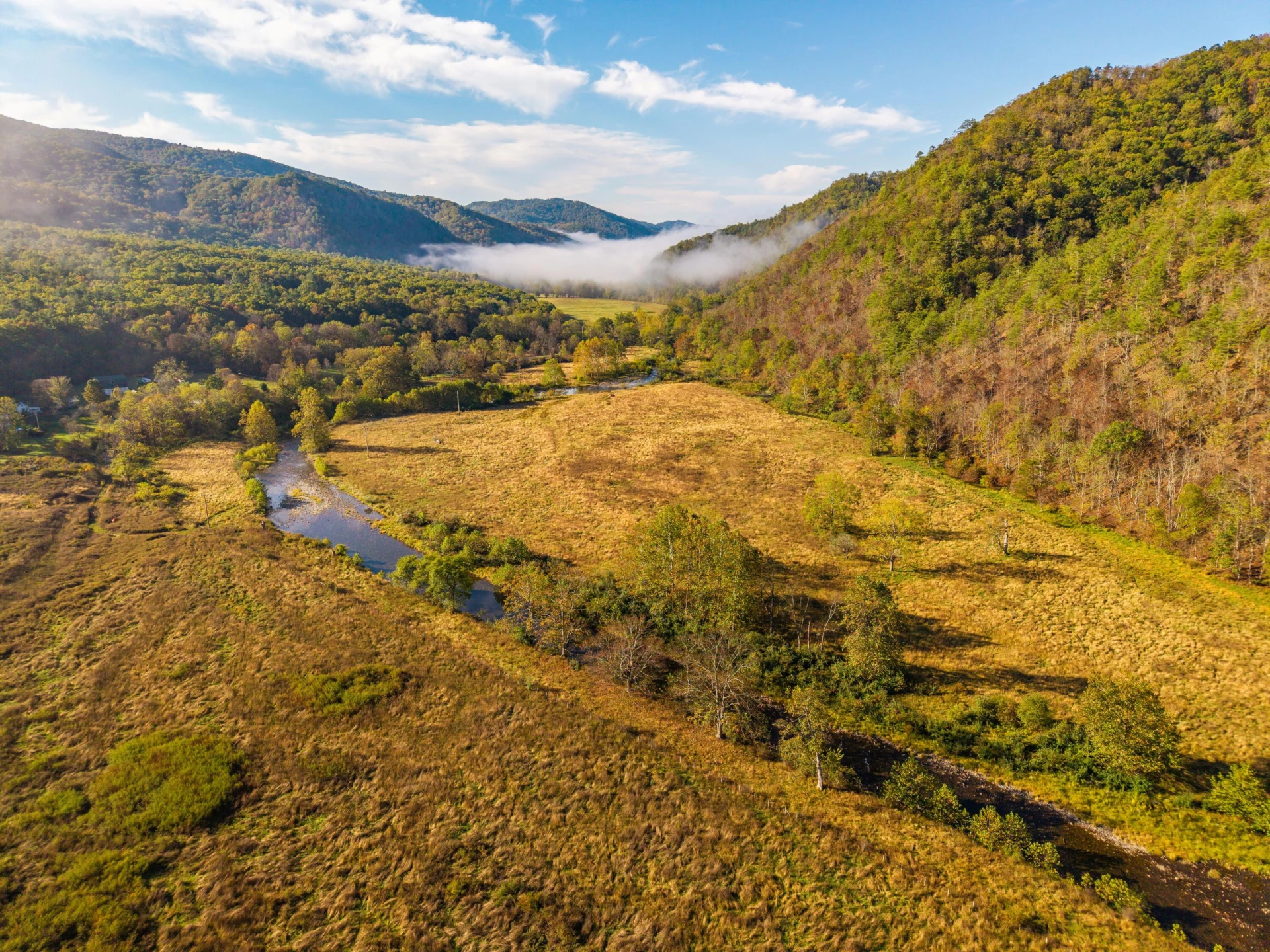 2430 Big Back Creek Rd - Photo 8