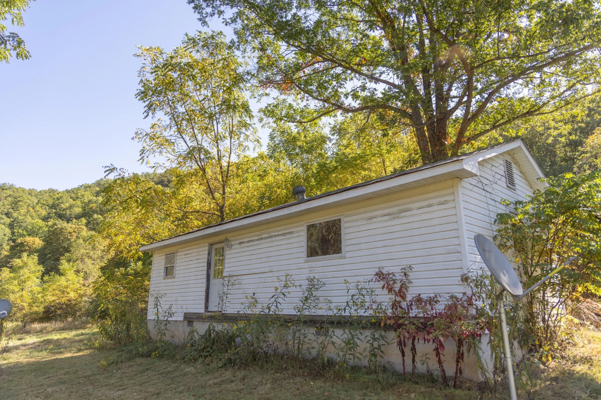 2430 Big Back Creek Rd - Photo 80