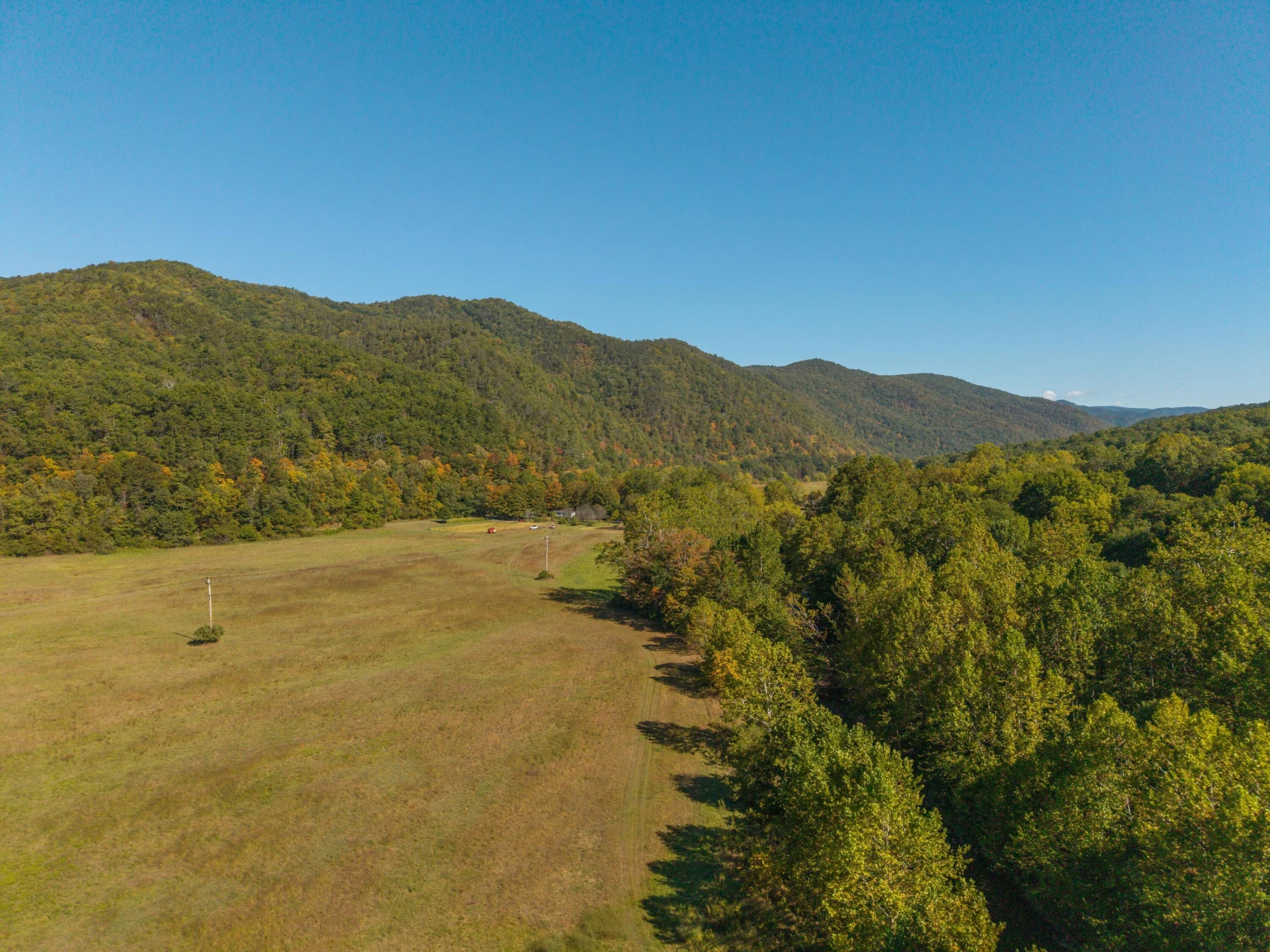2430 Big Back Creek Rd - Photo 88