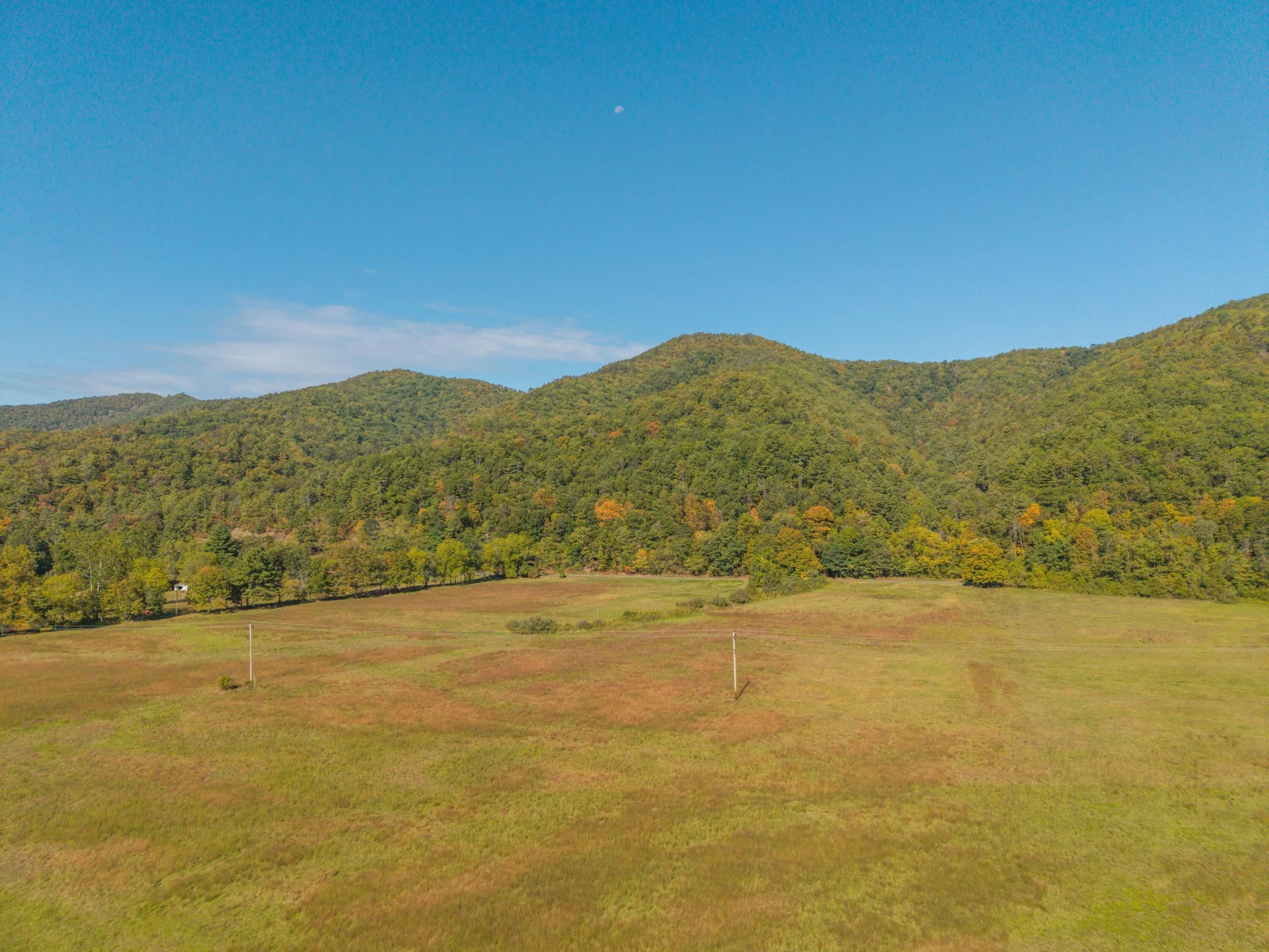 2430 Big Back Creek Rd - Photo 89