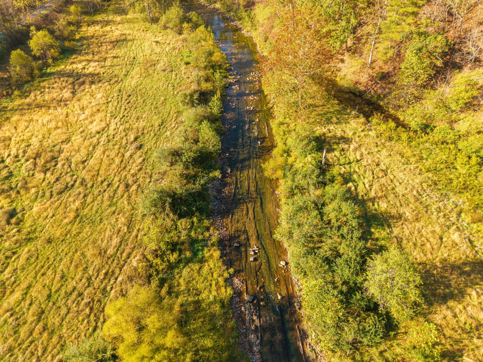 2430 Big Back Creek Rd - Photo 9