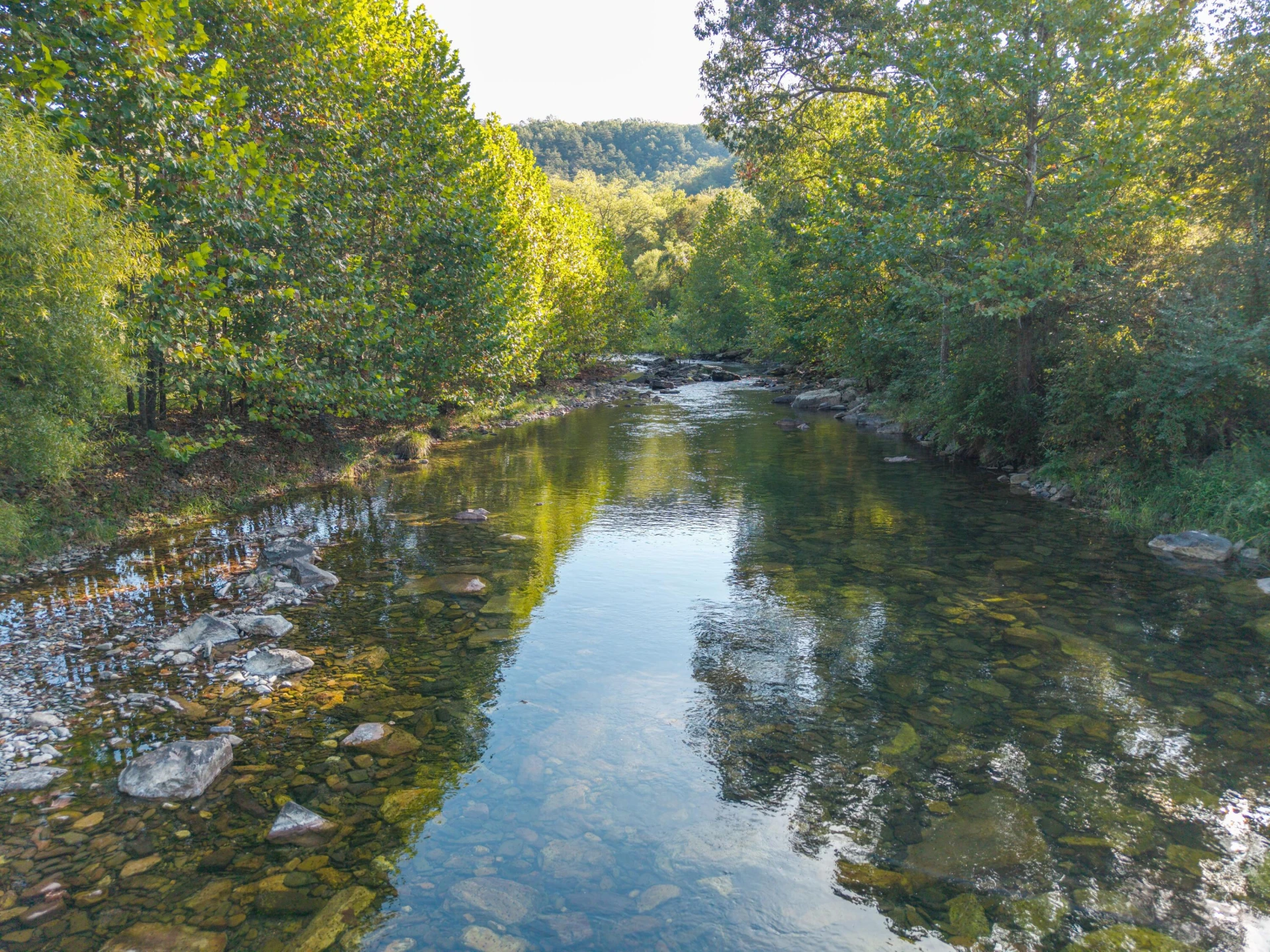 2430 Big Back Creek Rd - Photo 94