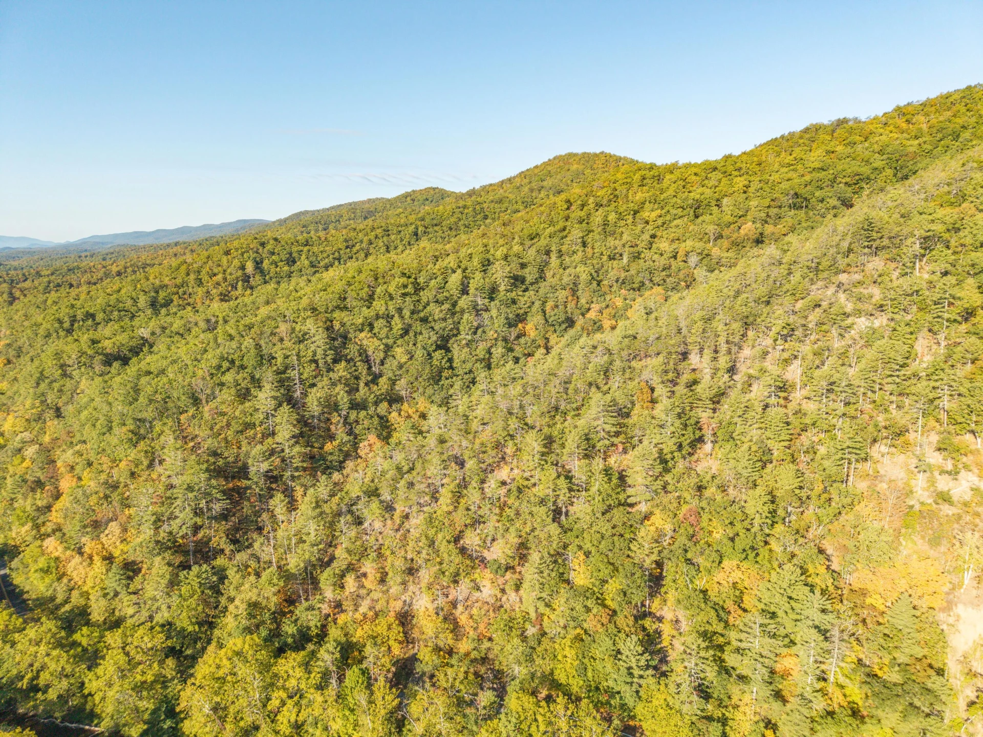 2430 Big Back Creek Rd - Photo 95