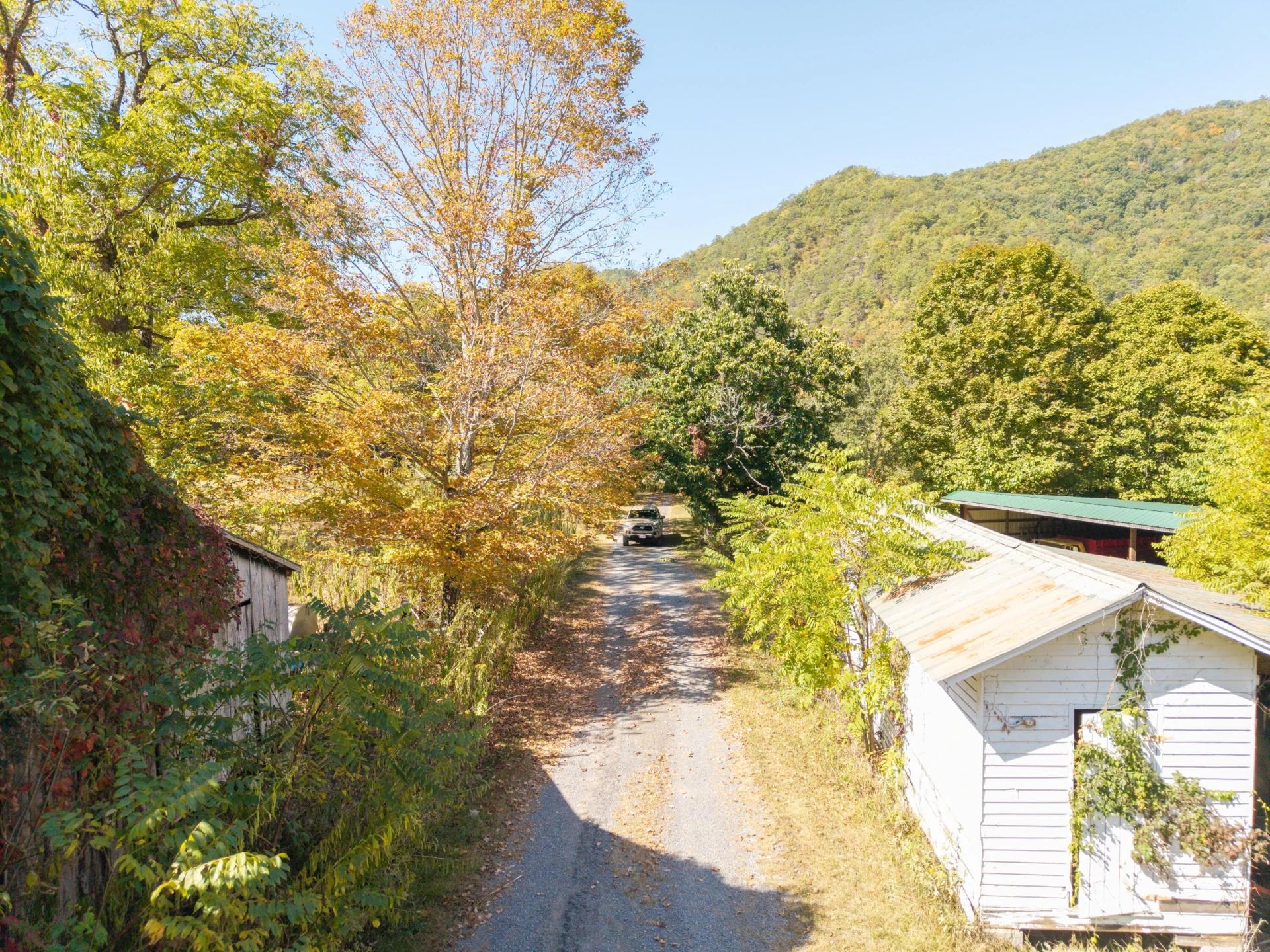 2430 Big Back Creek Rd - Photo 97