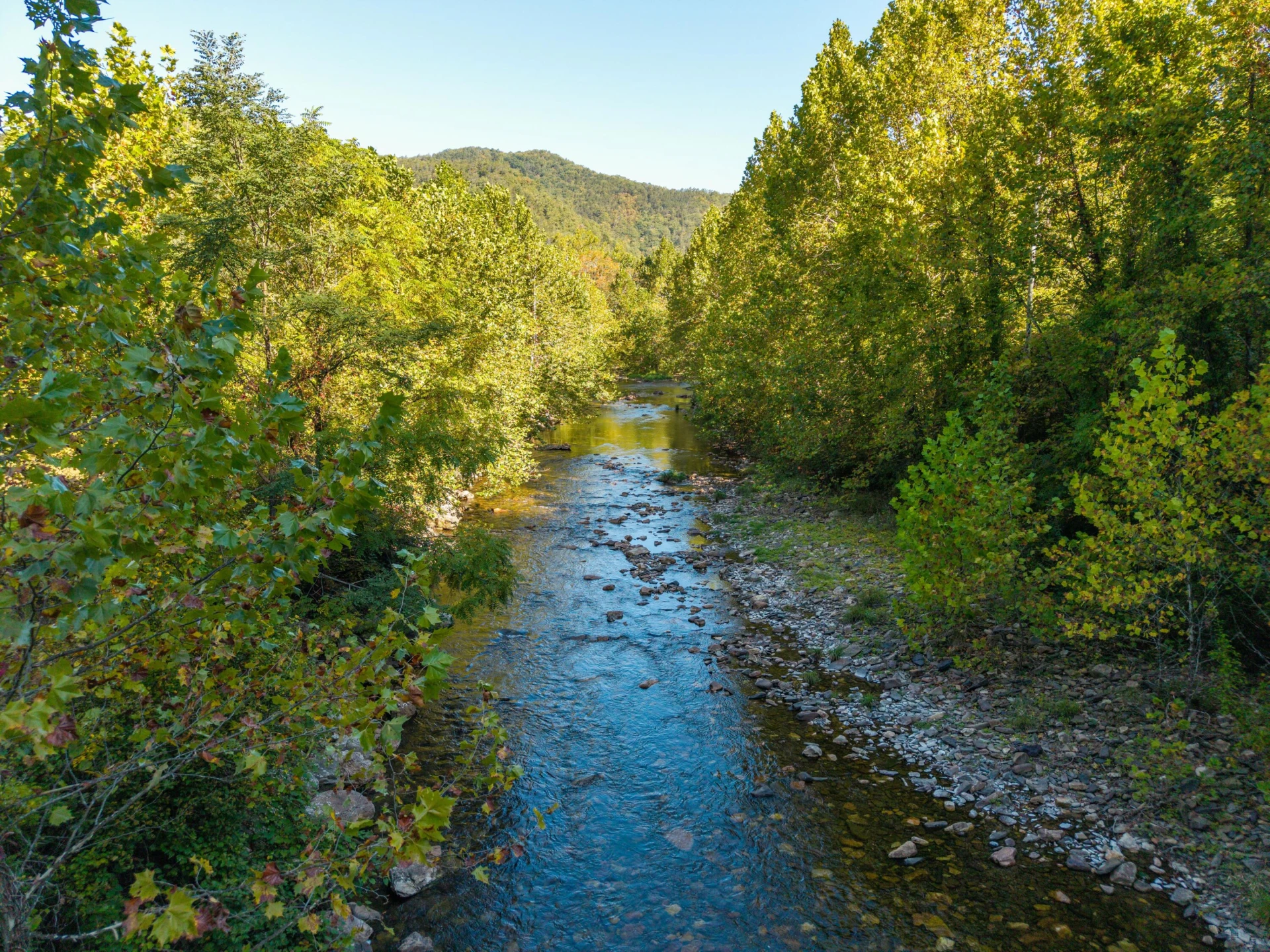 2430 Big Back Creek Rd - Photo 98