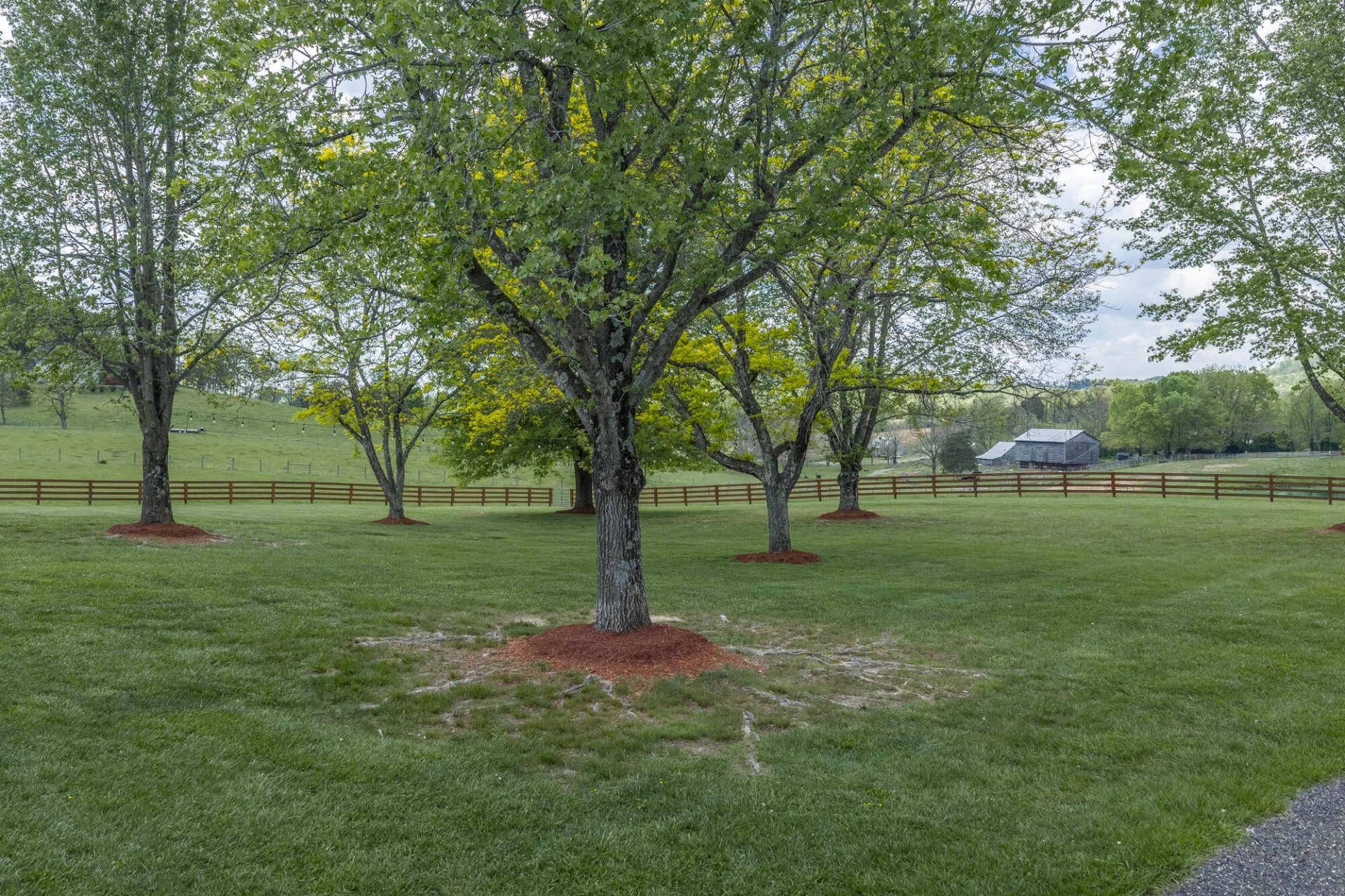 65 & 190 Whistle Hollow Lane - Photo 18