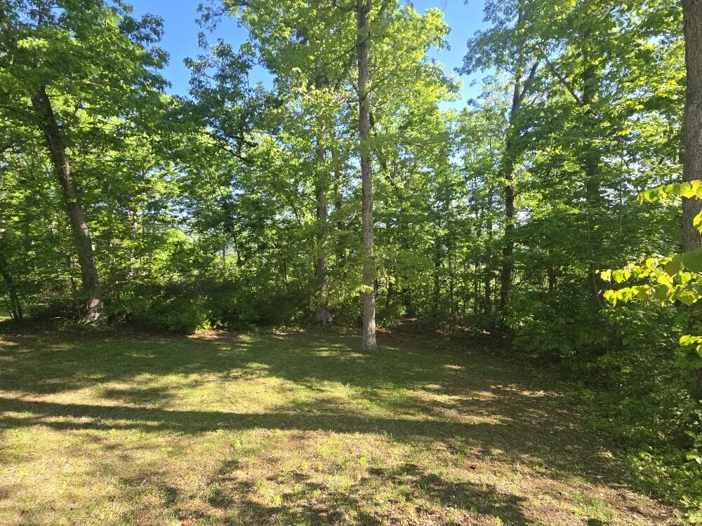 913 White Oak Dr - Photo 15