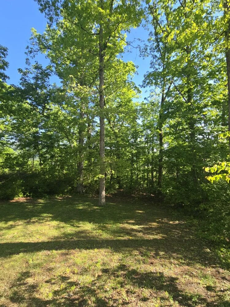 913 White Oak Dr - Photo 16