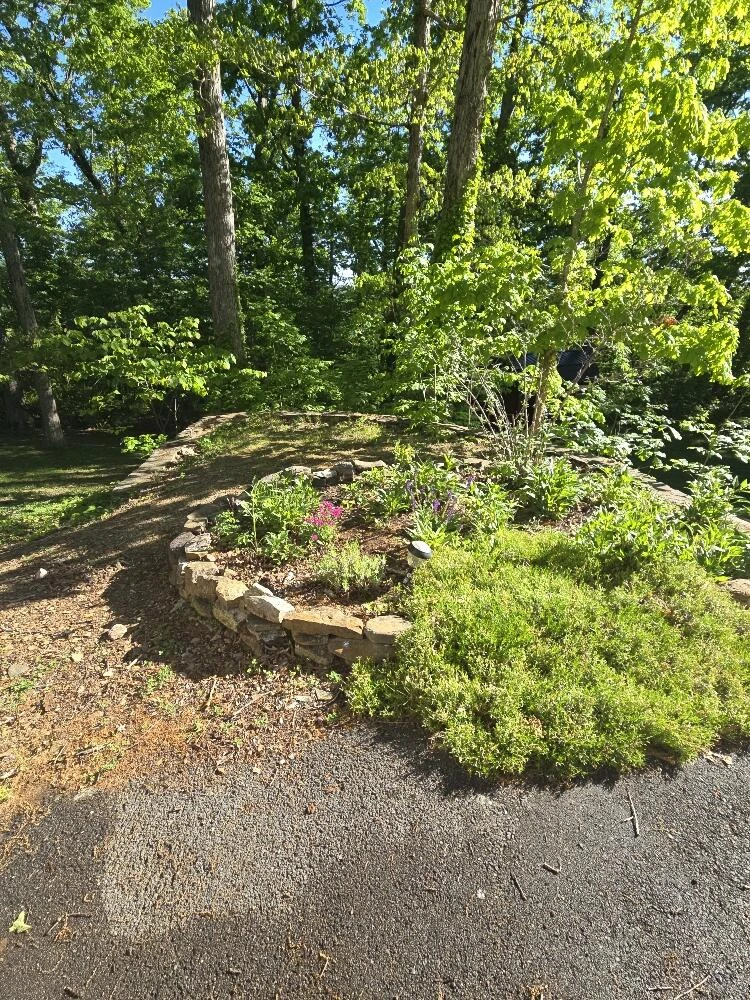 913 White Oak Dr - Photo 17