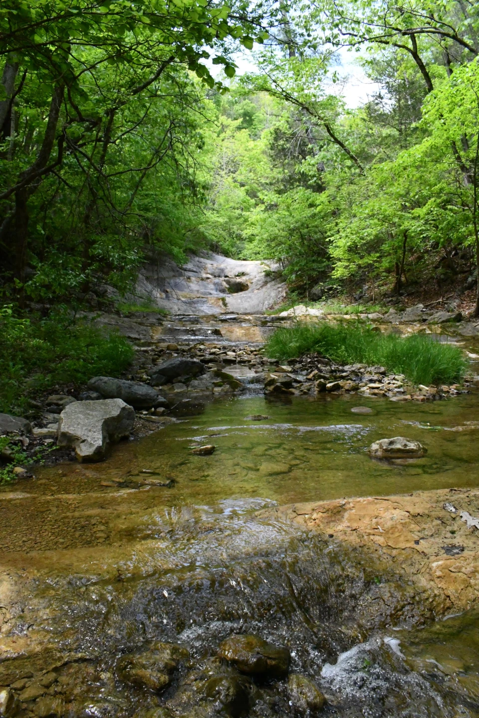 TBD 6.25 acres Indian Rock Rd. - Photo 2