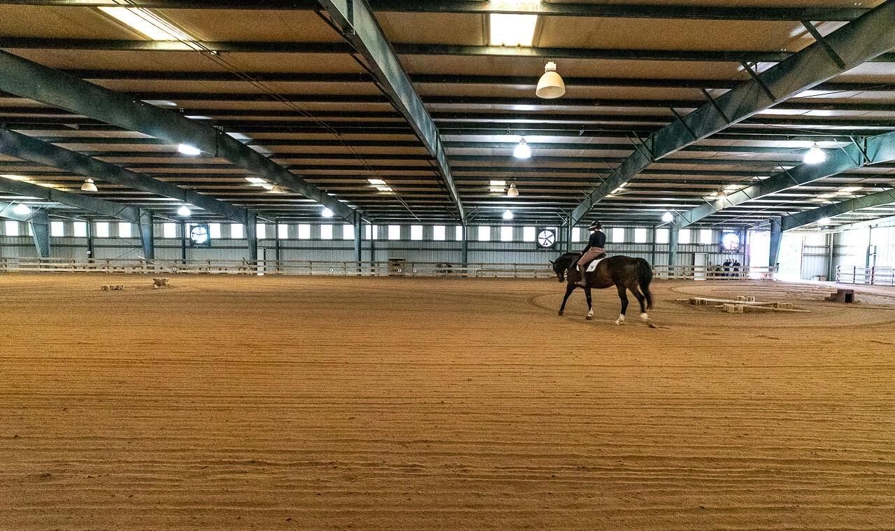 100 Equus - Photo 9