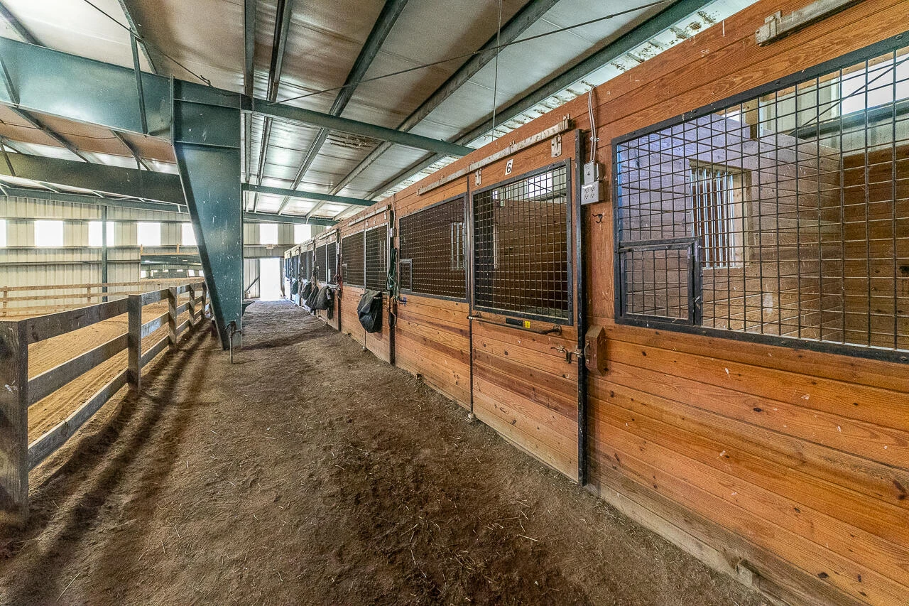 100 Equus - Photo 10