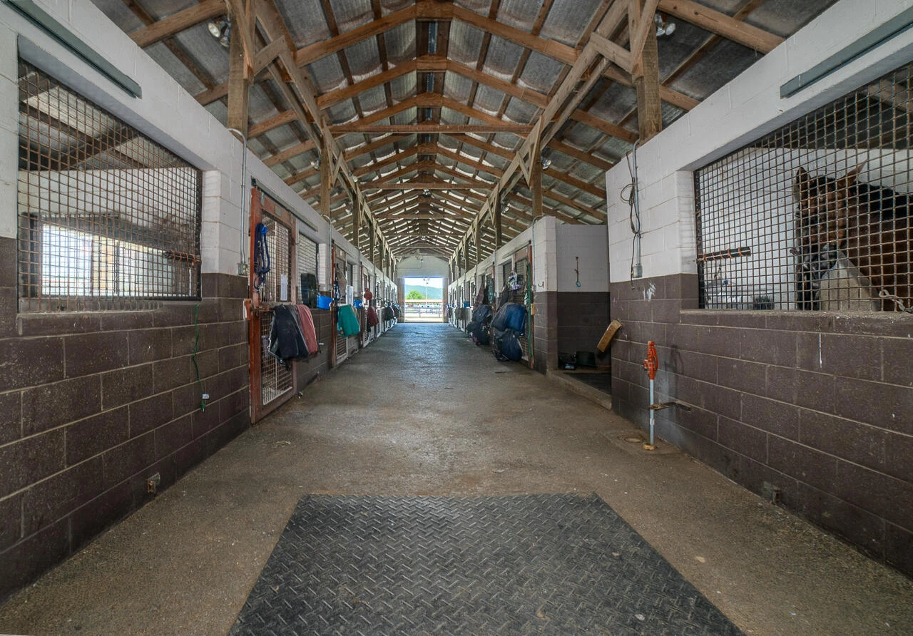 100 Equus - Photo 14