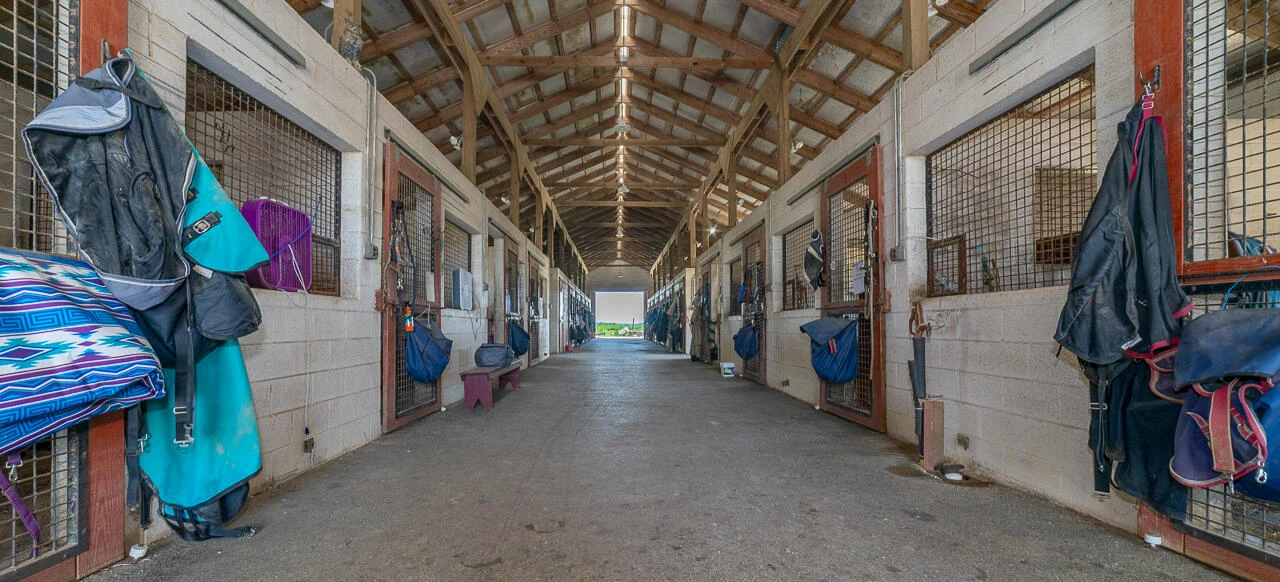 100 Equus - Photo 15