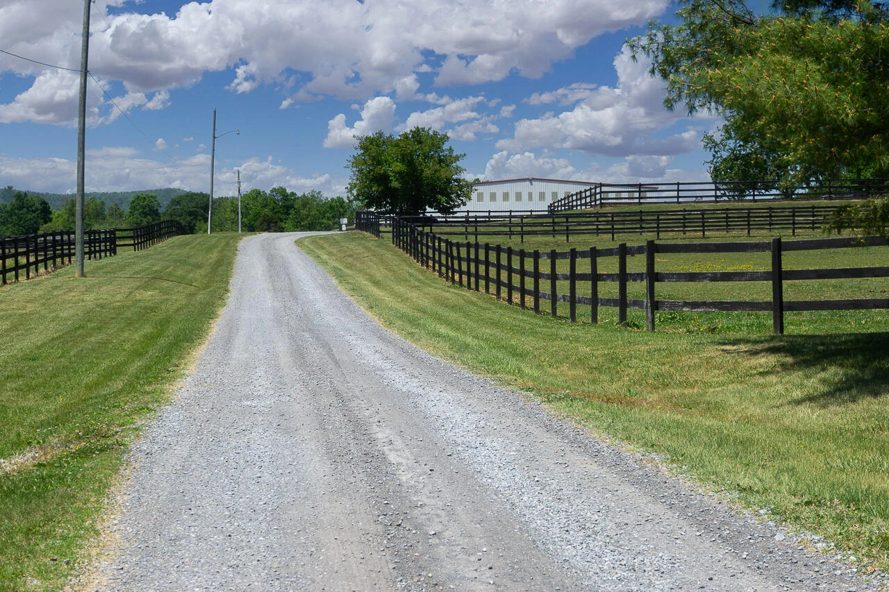 100 Equus - Photo 23