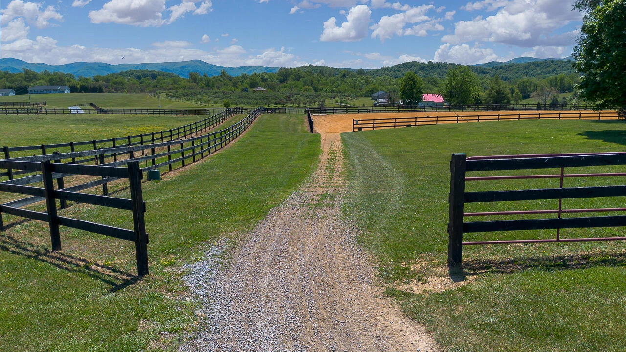 100 Equus - Photo 24