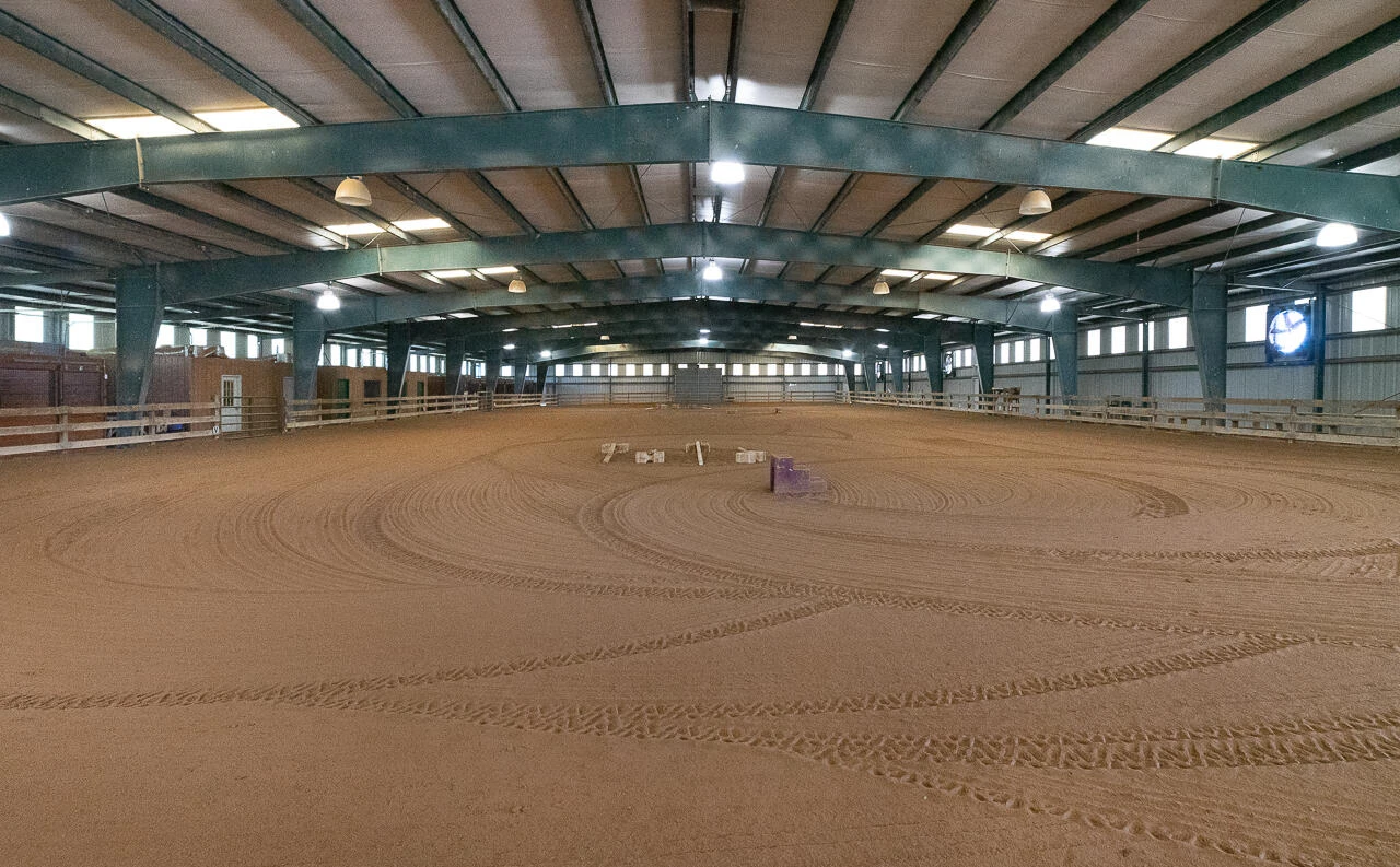 100 Equus - Photo 3
